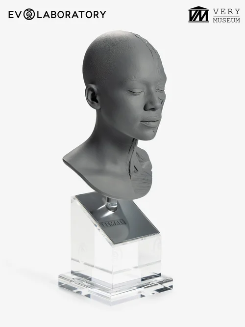 Human Bust 1/4 — African Female