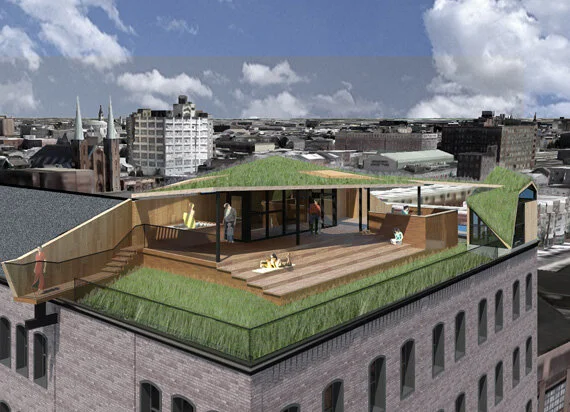 greenroof2.jpg