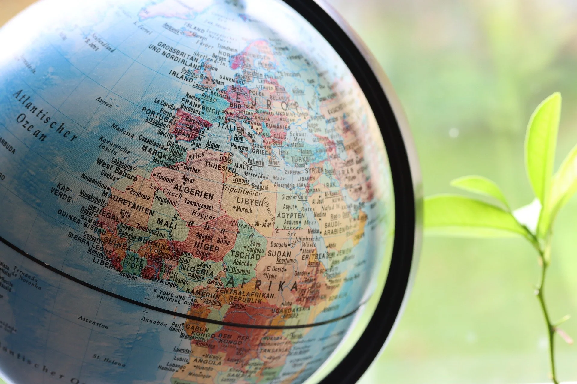 In The Era Of Global Tariffs, How Can Small Economies Survive And Thrive?