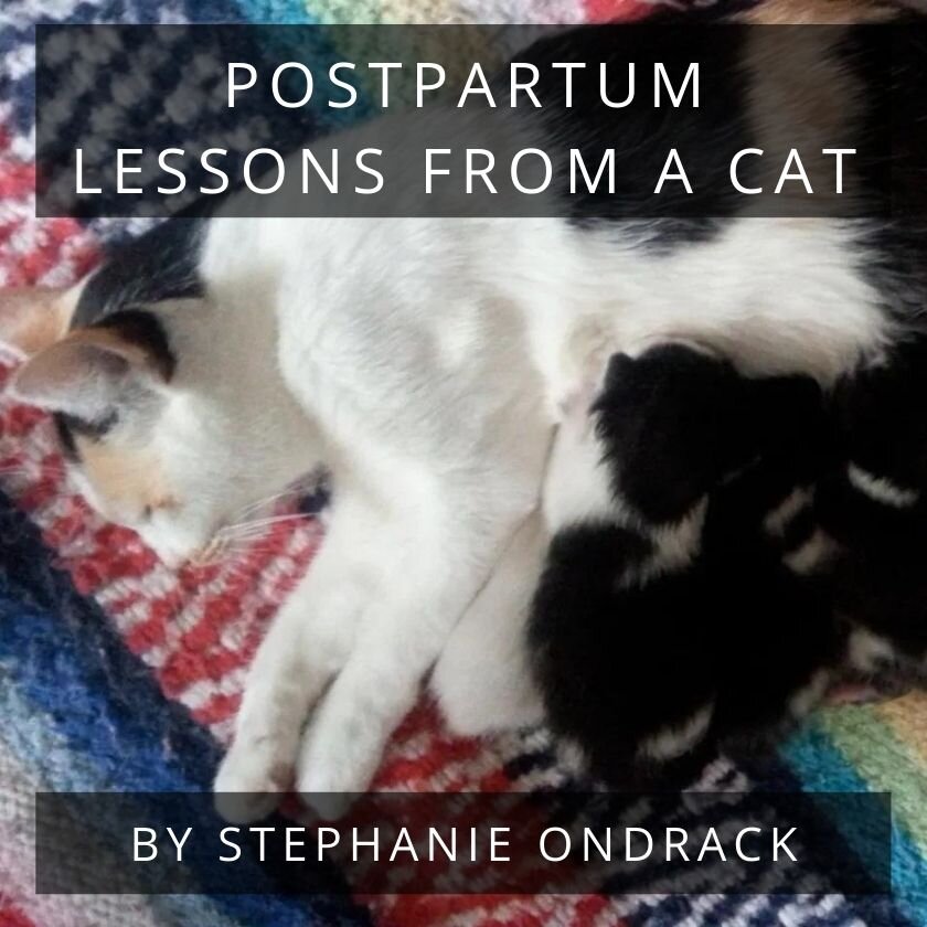 Postpartum Lessons from a Cat