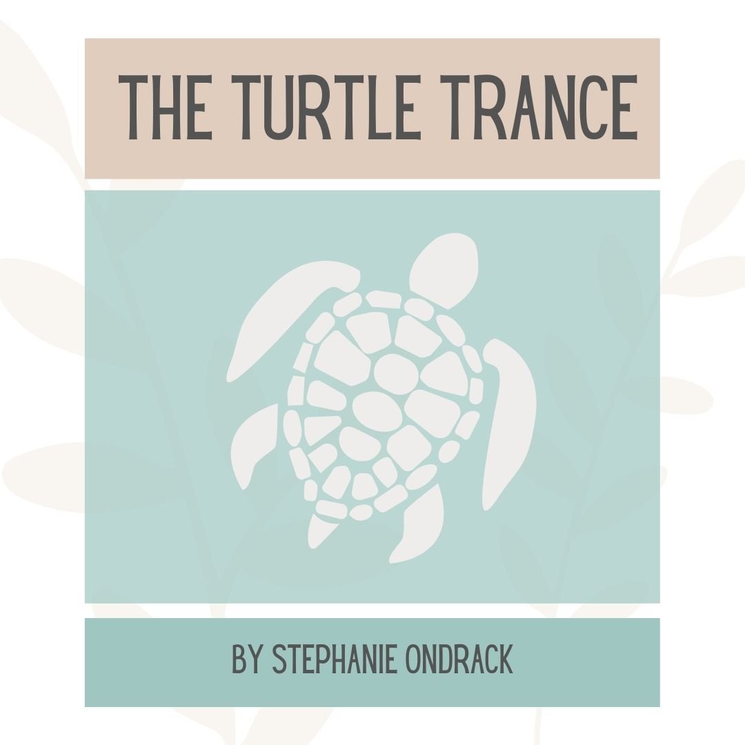 The Turtle Trance