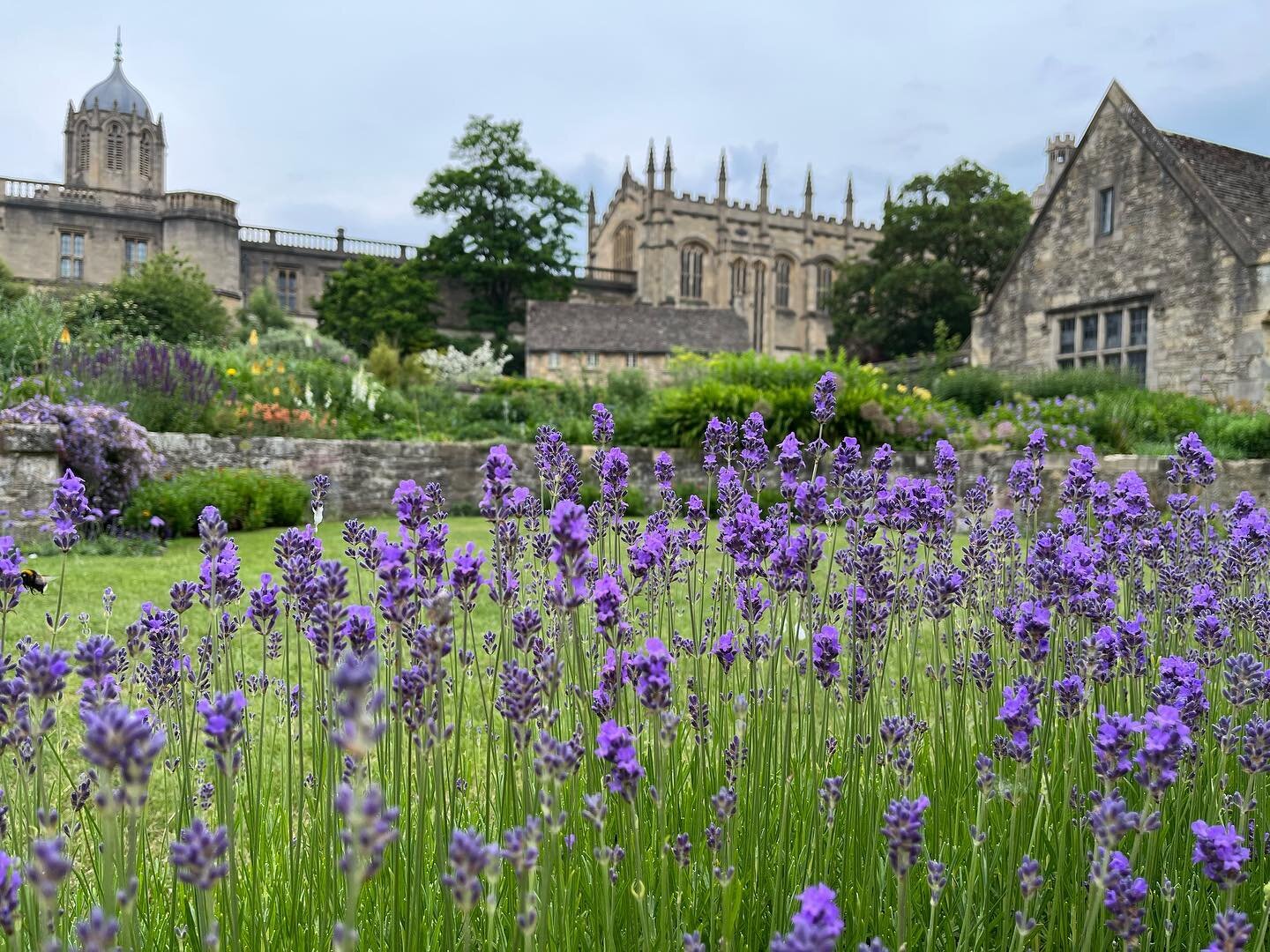 We&rsquo;re traveling again! For this year&rsquo;s big trip, we&rsquo;re exploring the UK. After arriving around noon on Sunday, we checked off several Harry Potter locations (Christ Church in Oxford, Gloucester Cathedral) before ending the day in Ba