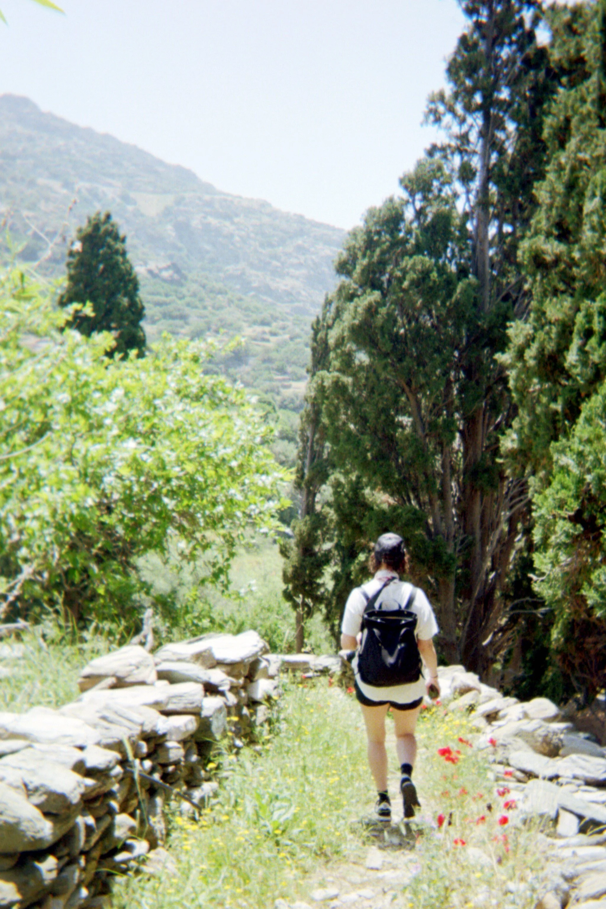 Person hiking on a mountain trail with trees and stone walls
