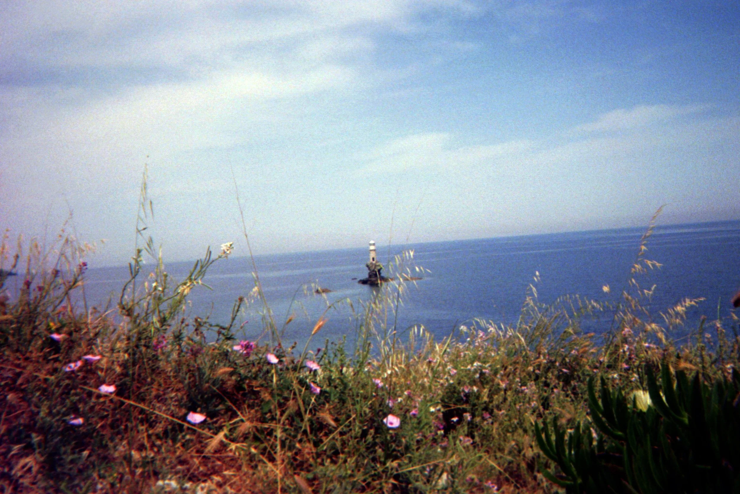 Wildflowers in foreground with distant view of a lighthouse on the ocean.