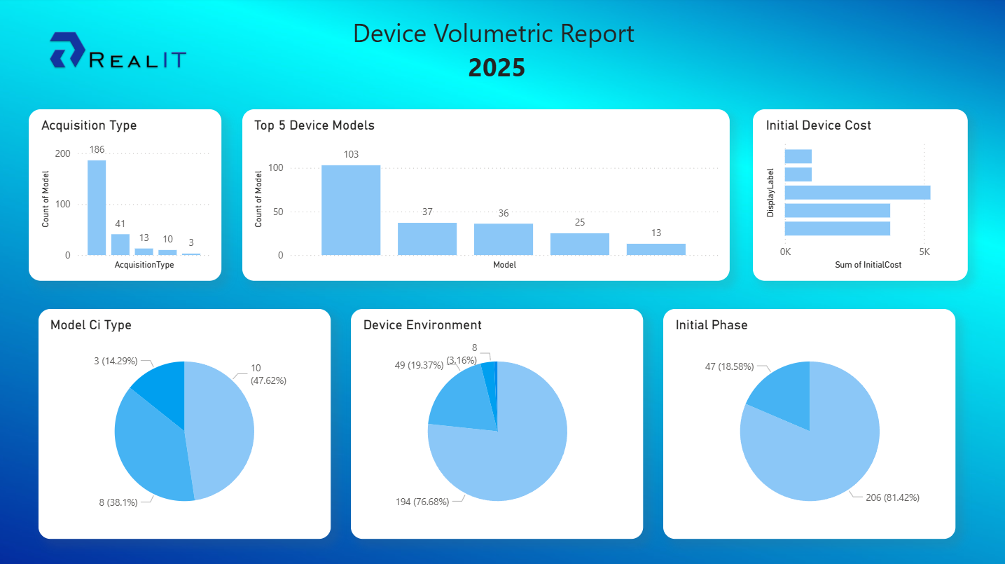 From Raw Data to a Paginated Report: How Power BI Makes Large Datasets Easily Displayable 