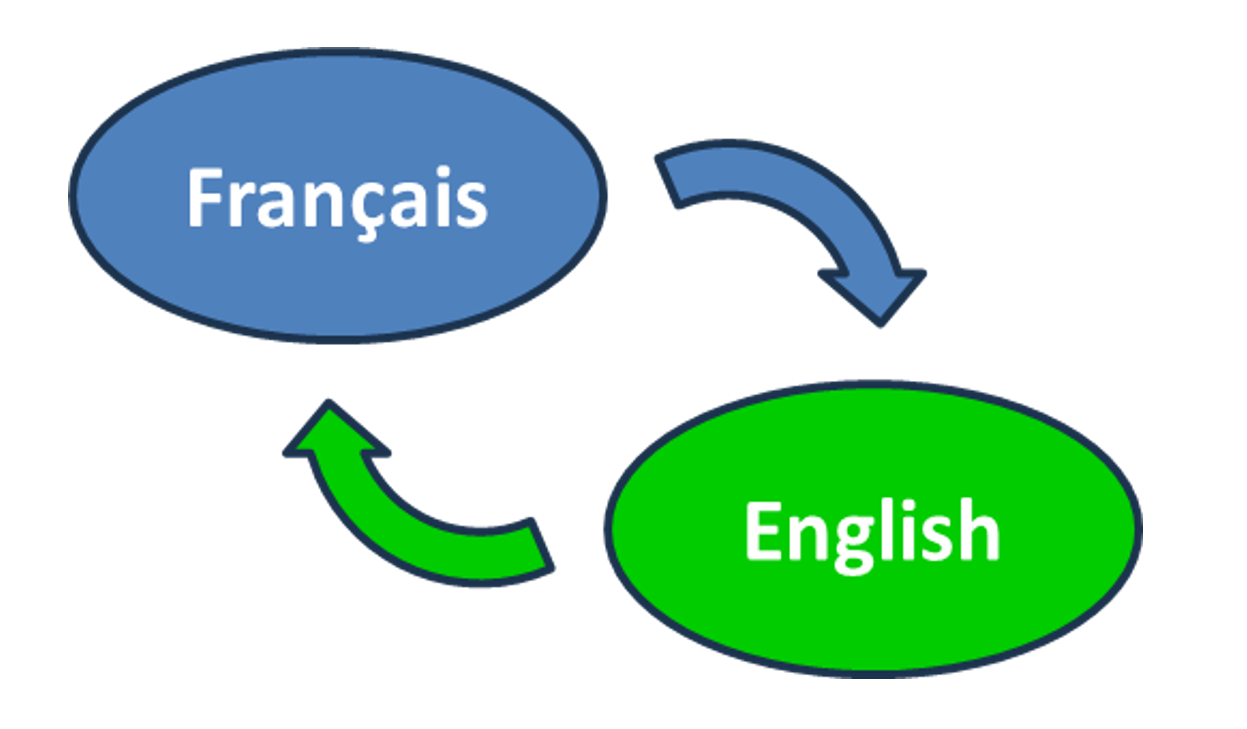 Enhancing the ITSM Solution Through Inline Language Translation Integration
