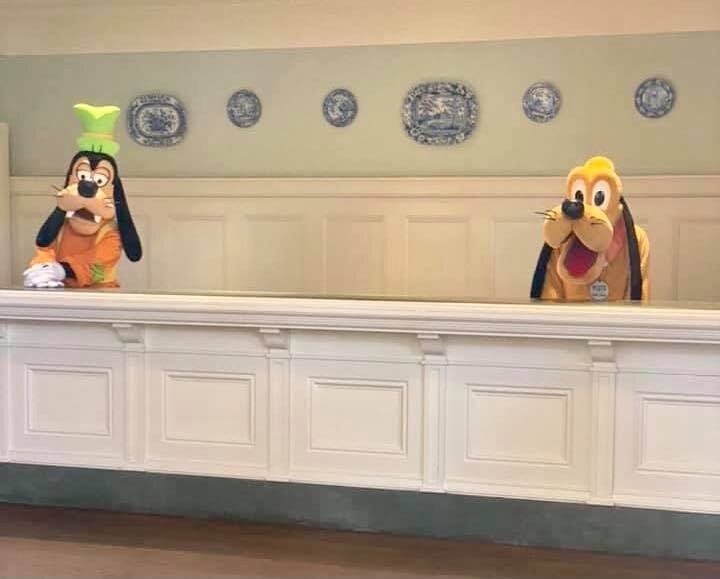 Checking in? ✨🏰✨
