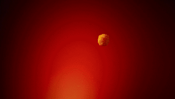 McDonaldsWC2026Packshot.gif