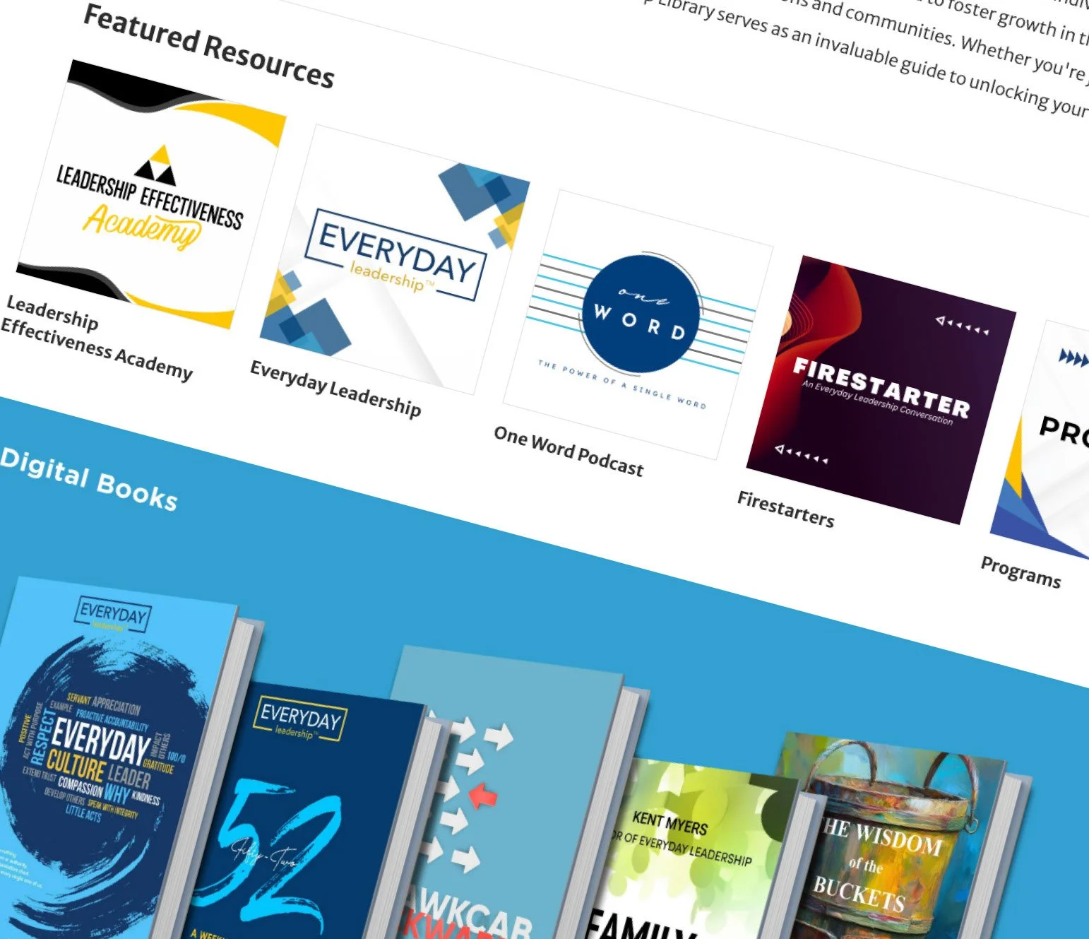 everyday leadership library