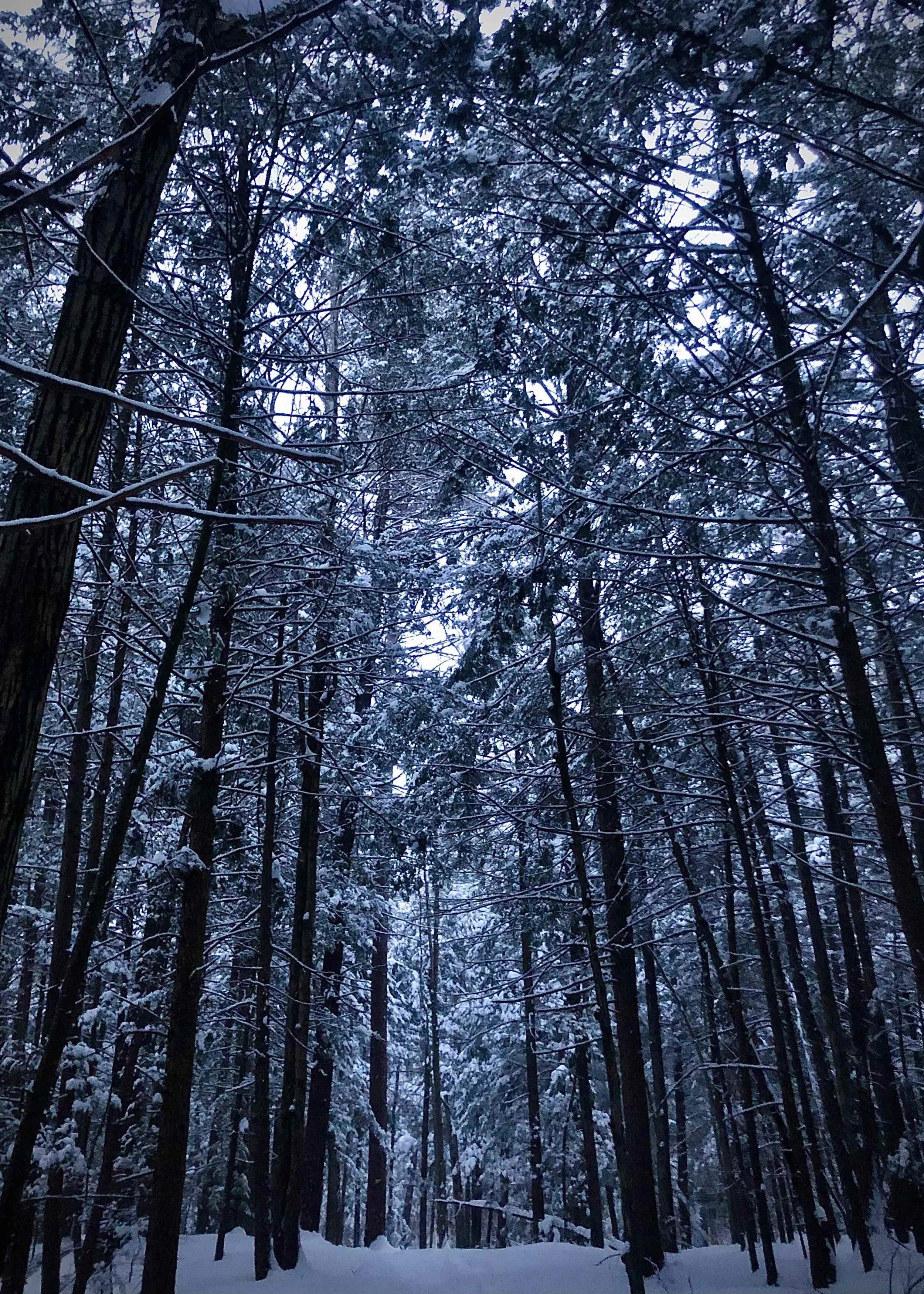 Some days you don’t reach the summit