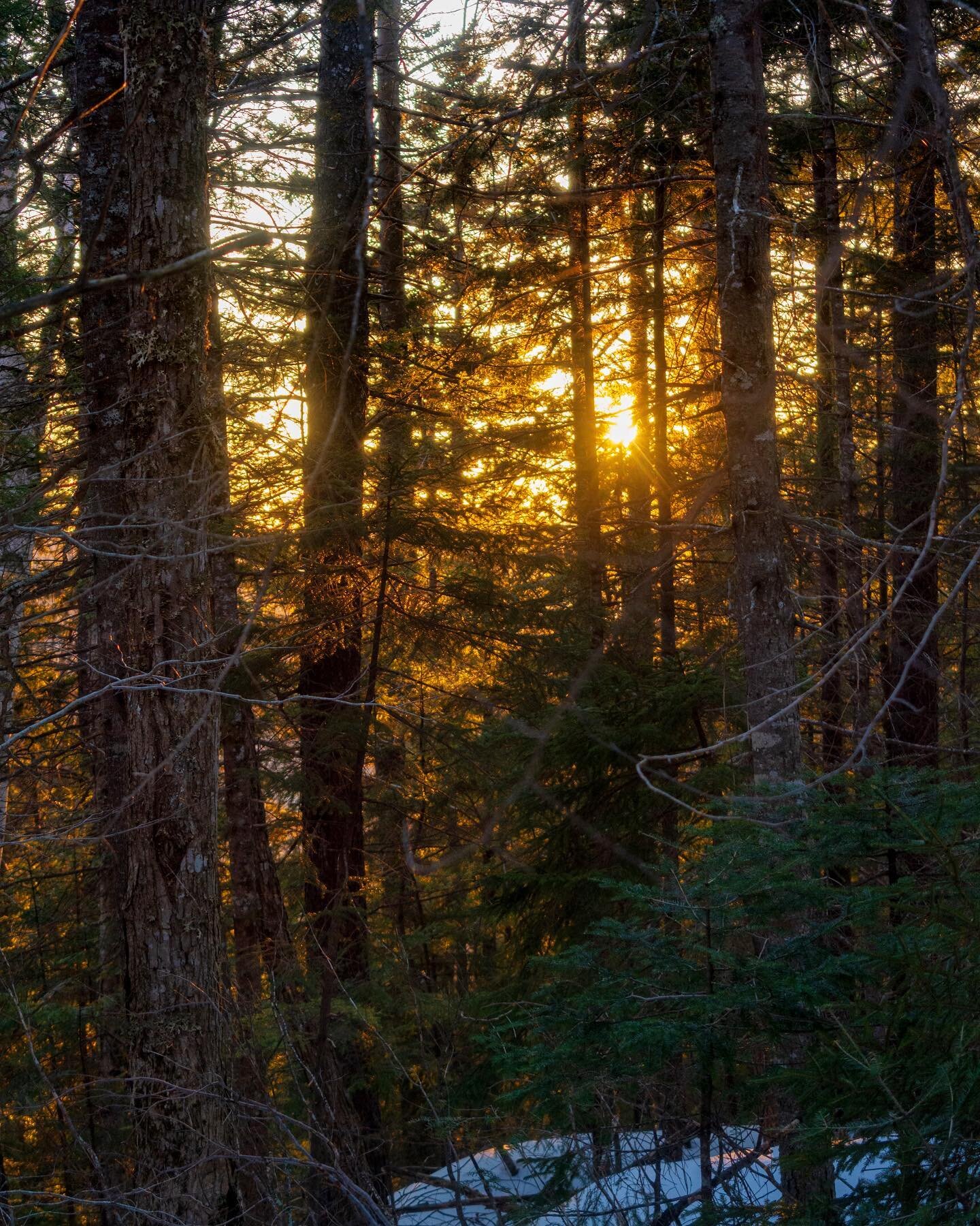 Just go towards the light 🥾🌅 
&lsquo;
#hikingadventures #hiking #whitemountains #newhampshire #woods #winter #dslrphotography #naturephotography #sunset