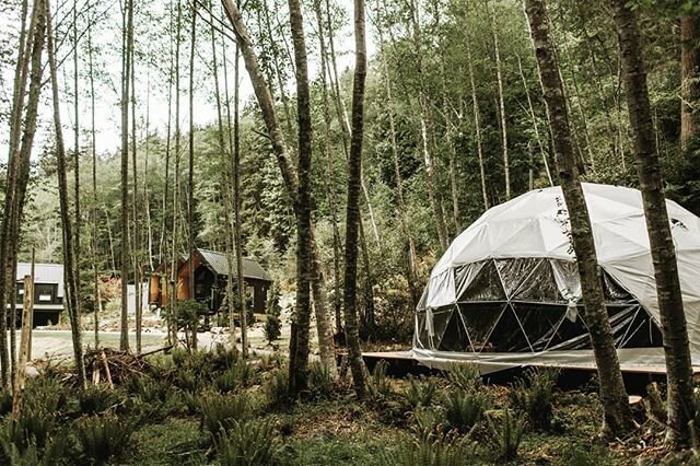Get ready for a yoga experience like none other.⁠ ⁠
⁠
The Nectar Experience allows you to reconnect with⁠ your body through yoga and meditation in our⁠
unique geodesic dome.⁠ ✨⁠
⁠
Click the link in our bio to learn more and book your stay with us.⁠
⁠