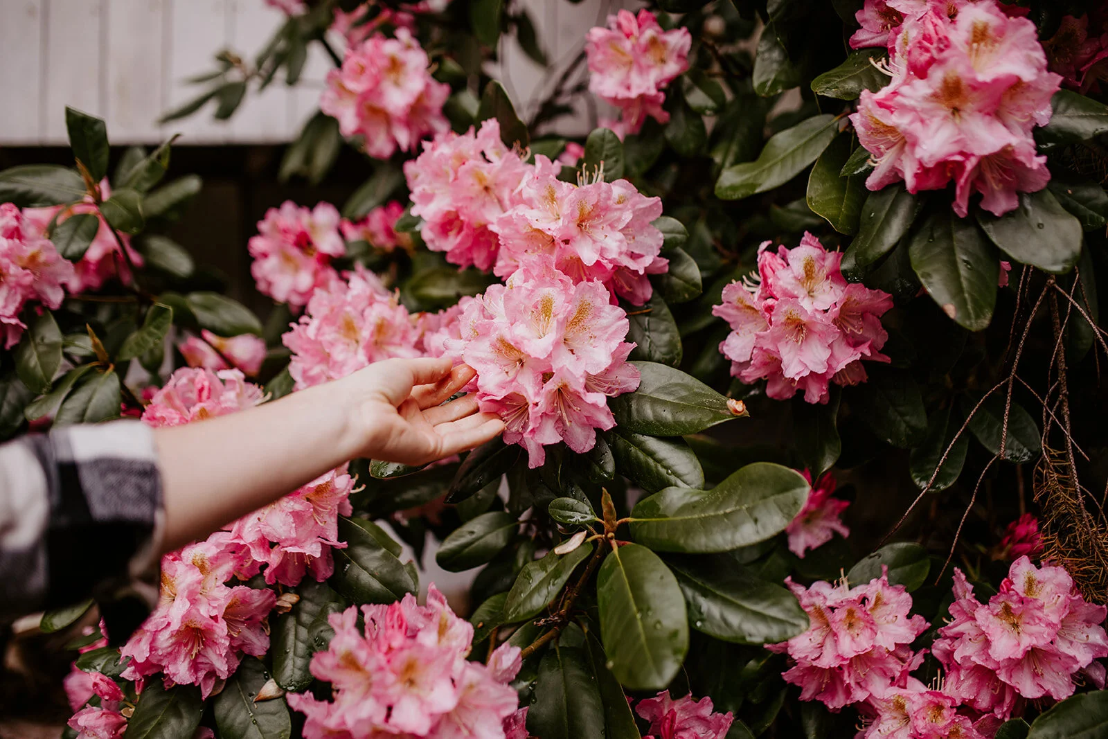 Spring Equinox Virtual Gathering