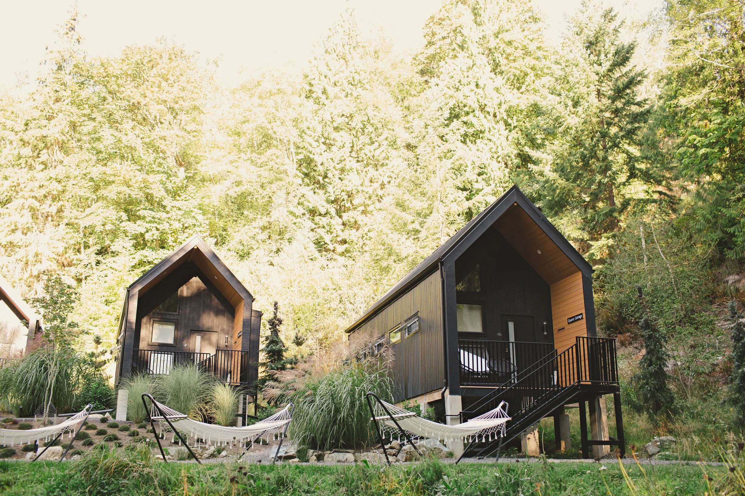 Retreat into Nature | Nectar Co-Creation Retreat with Tina Pashumati James