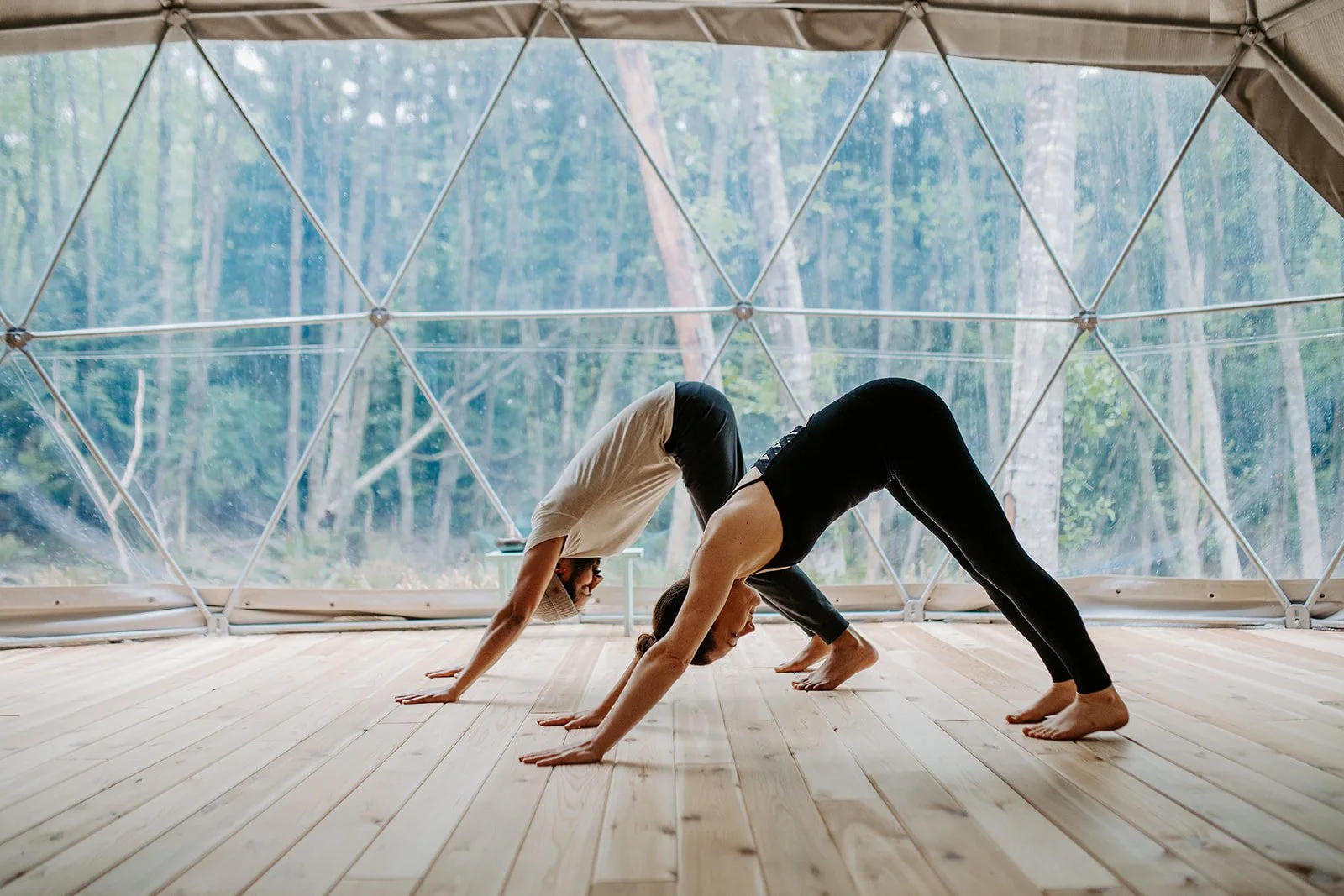 A Day Of Mindfulness Retreat