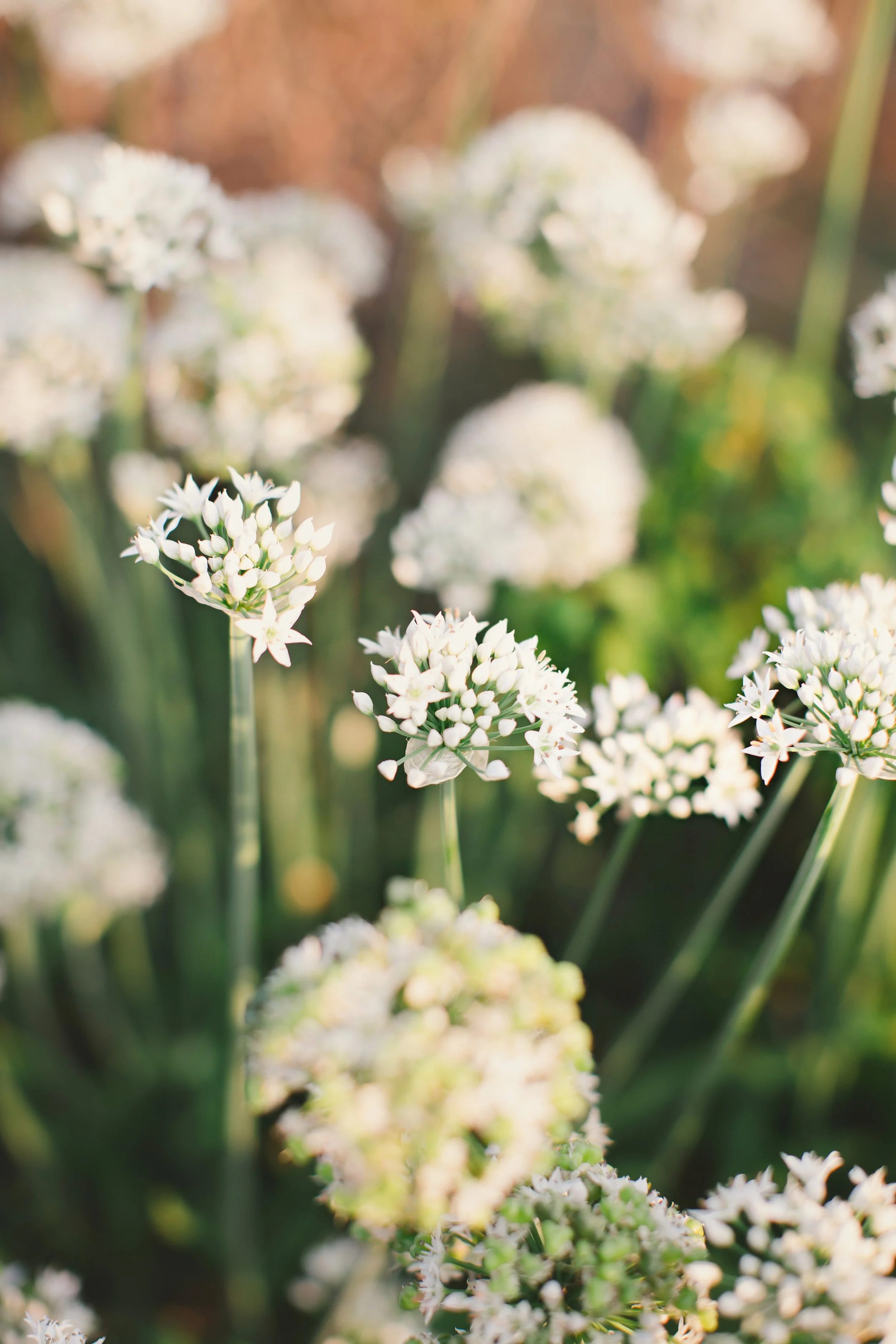 Mother’s Day Retreat with Melanie O'Leary