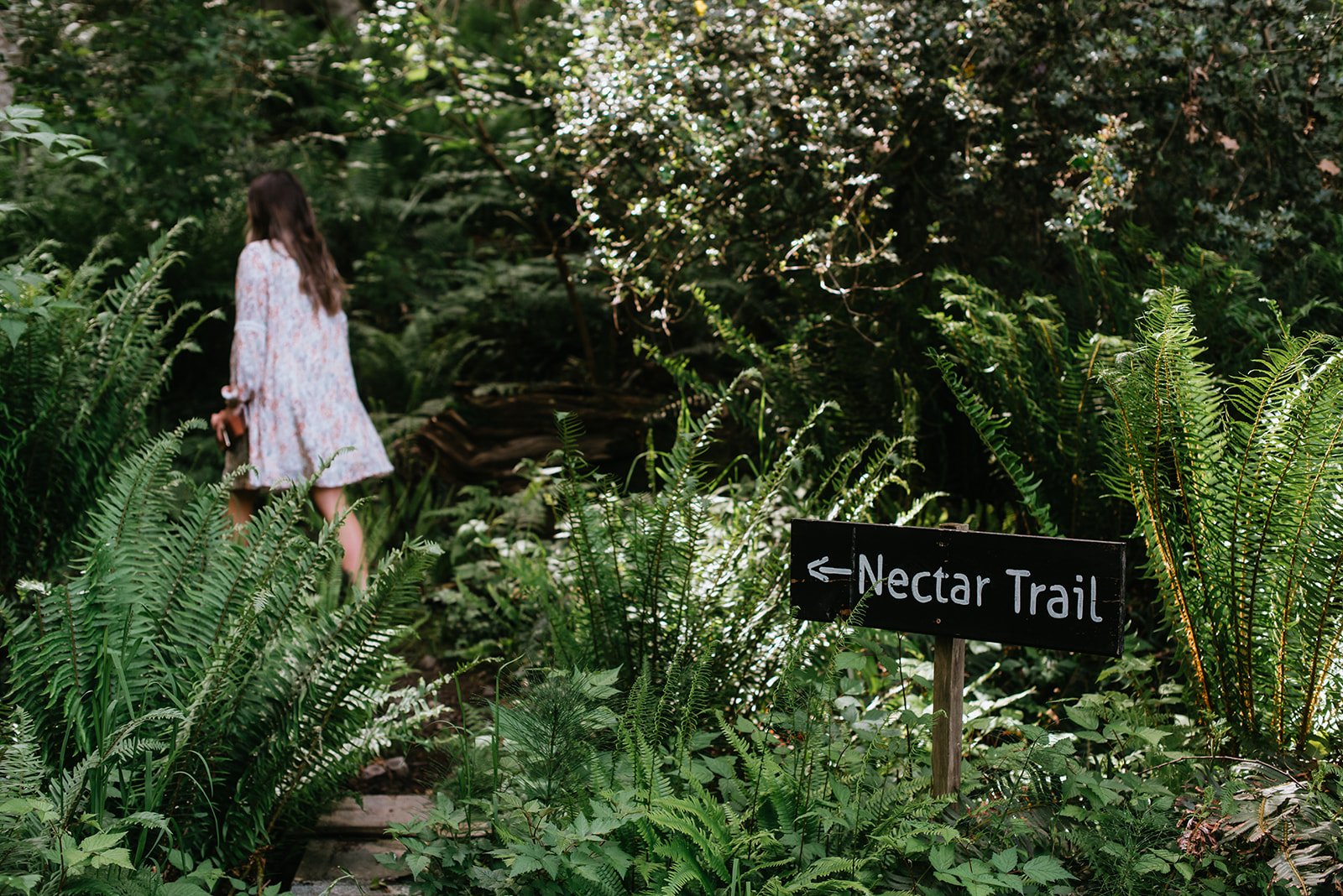 Nectar Yoga Forest Trail Walk Vancouver British Columbia Canada 07_2022 @laurazekephotography.jpg