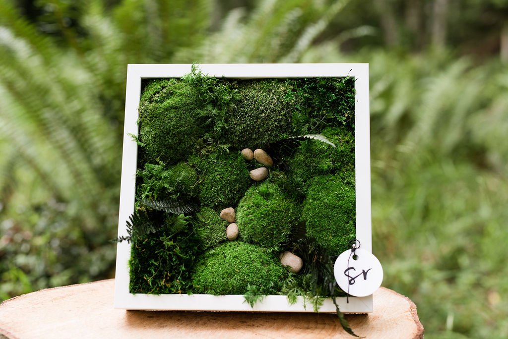 Handcrafted moss art by local Bowen Island-based artist Anne-Marie Lewis, available at Nectar Goods