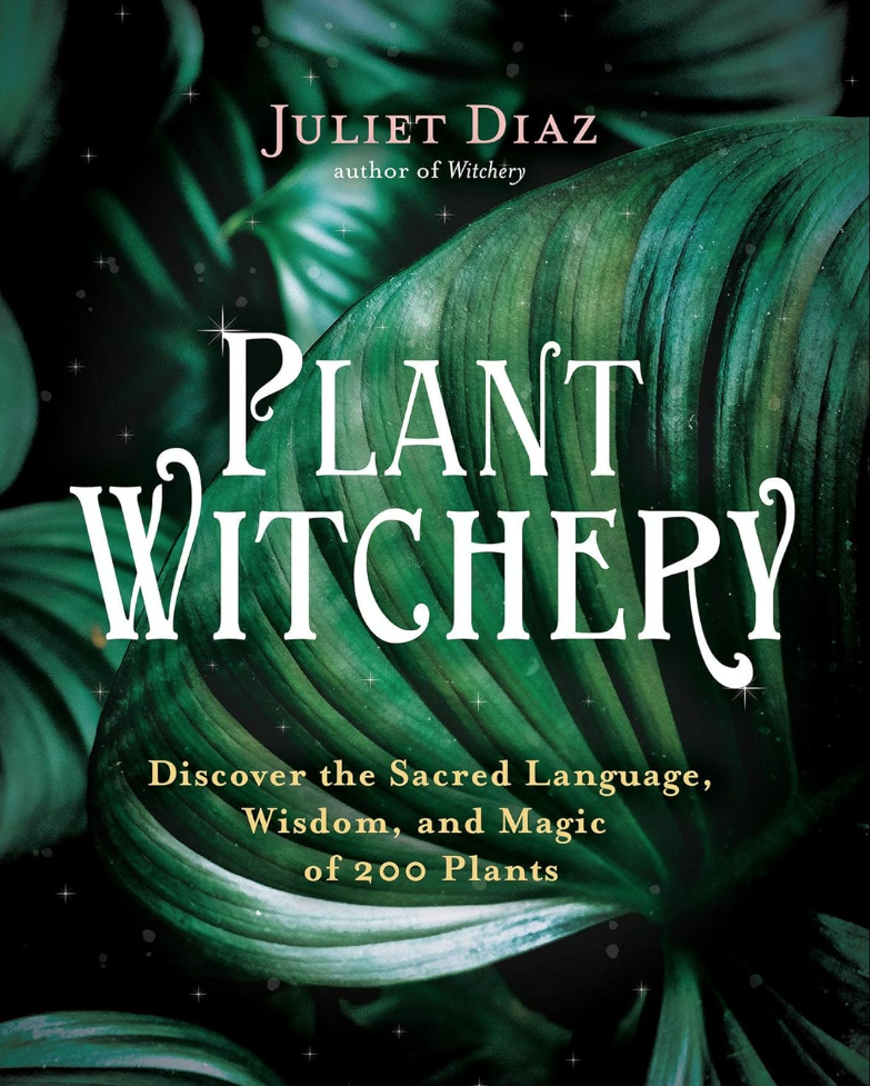 Juliet Diaz, Indigenous seer and author of Plant Witchery's book is available at Nectar Goods
