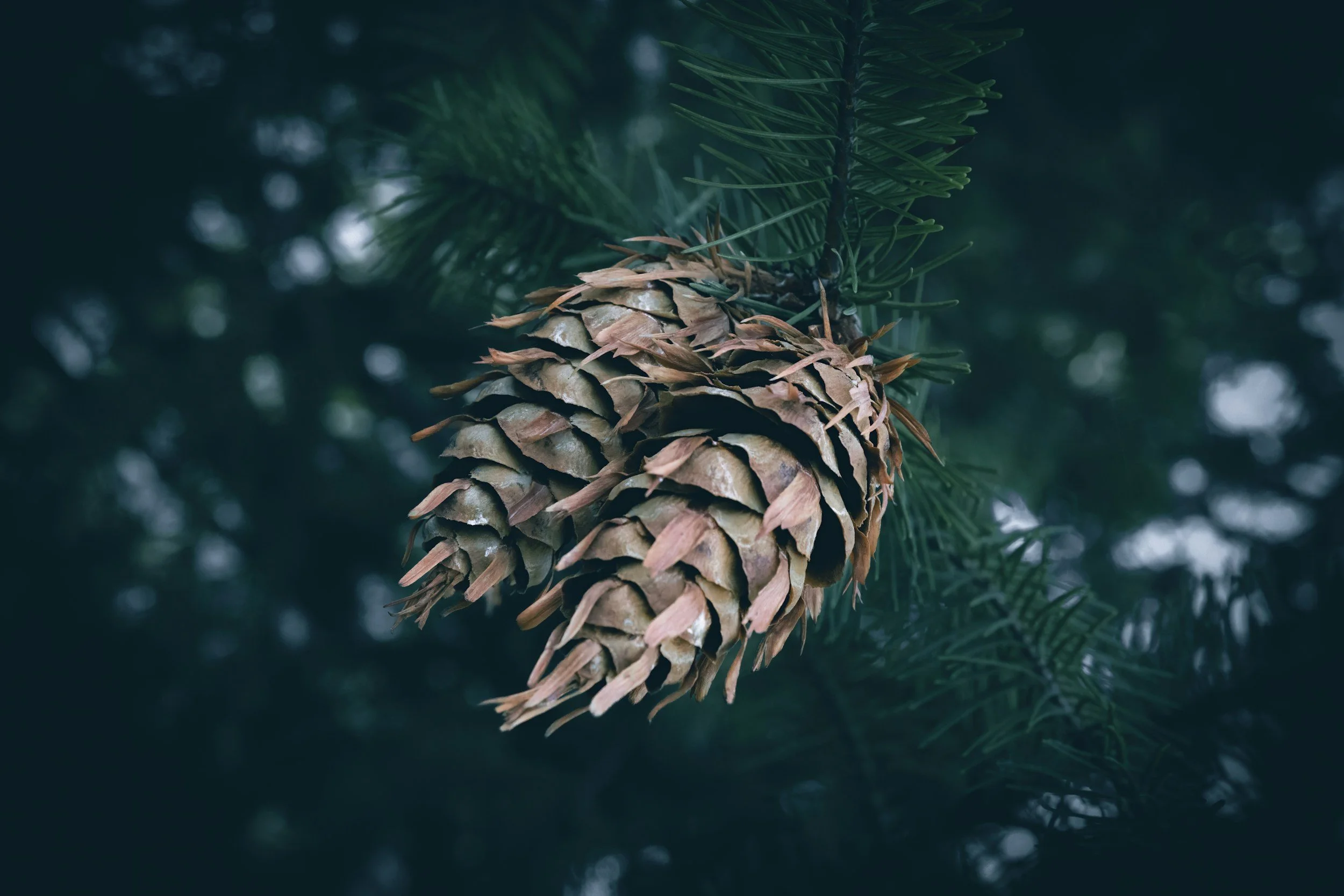 gift experiences for couples