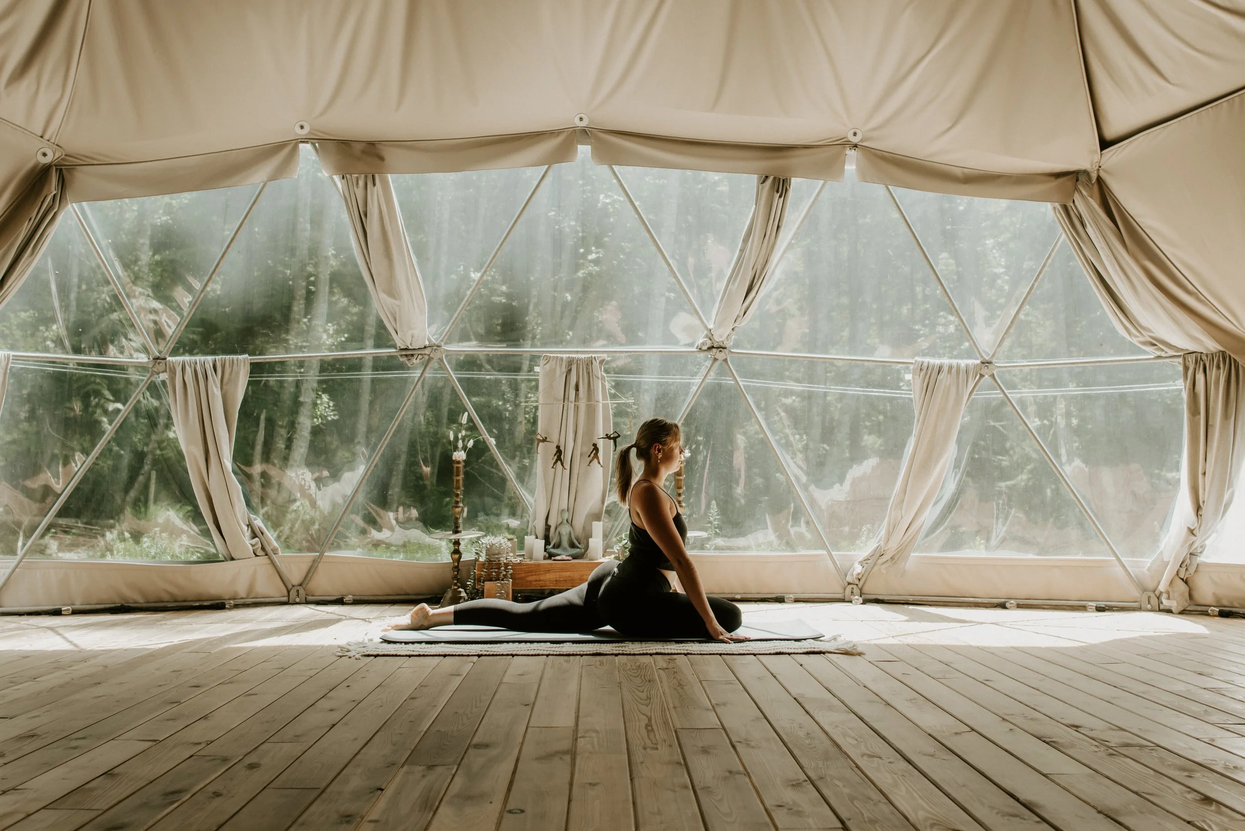 Community Yin w/ Harmony