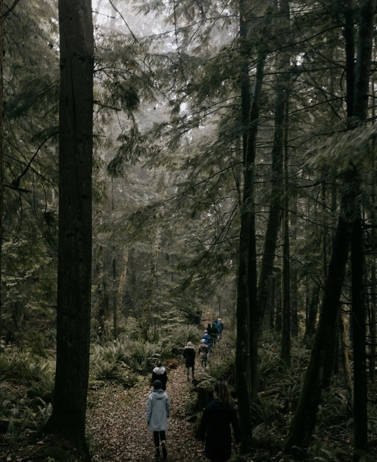 The Quiet Path Retreat with Erika Blakely | Bowen Island