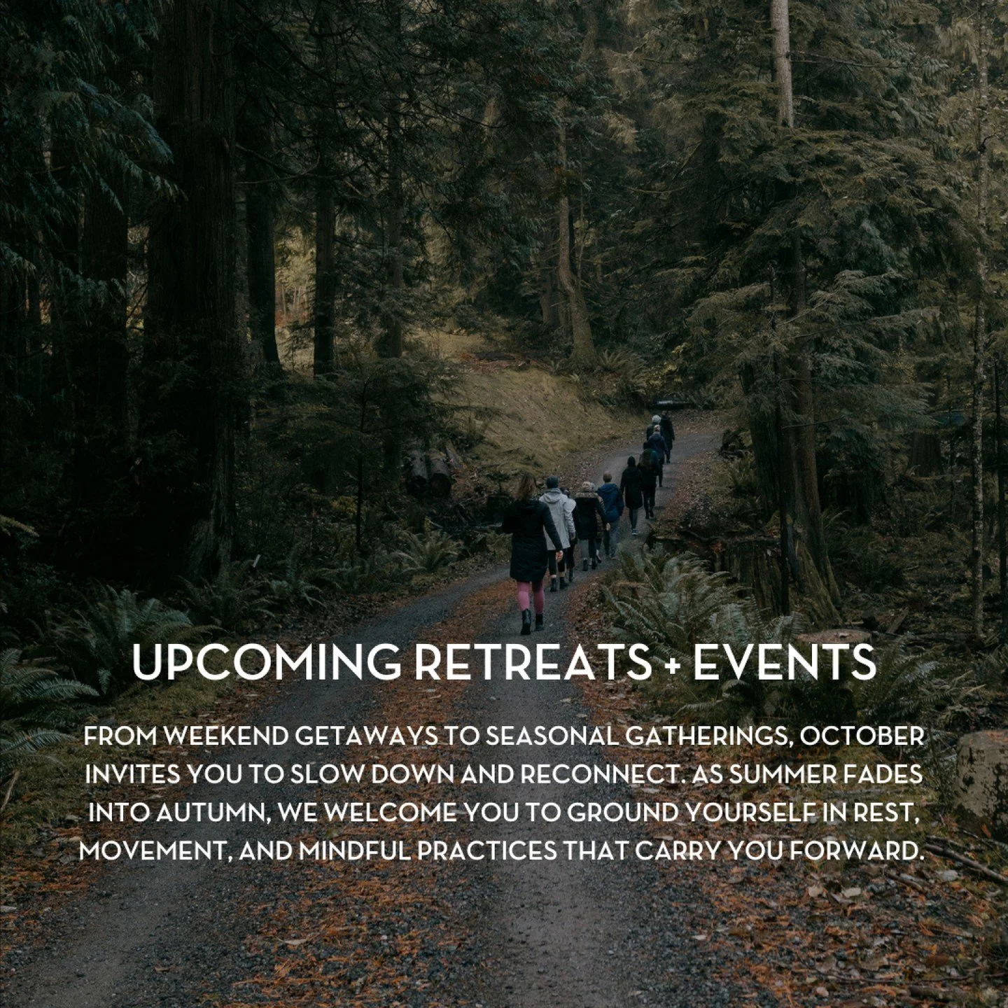 At Nectar, each retreat and event is designed to create space for reflection, movement, and rest, moments that carry you forward with steadiness and clarity. 🍂

Swipe through to explore upcoming offerings this month, from weekend retreats to immersi