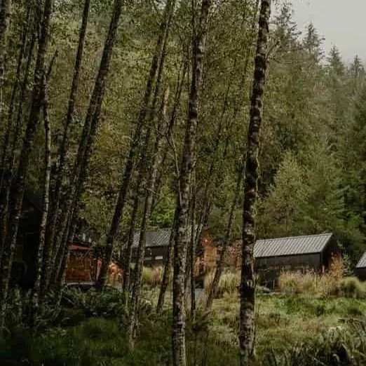 wellness retreats bc