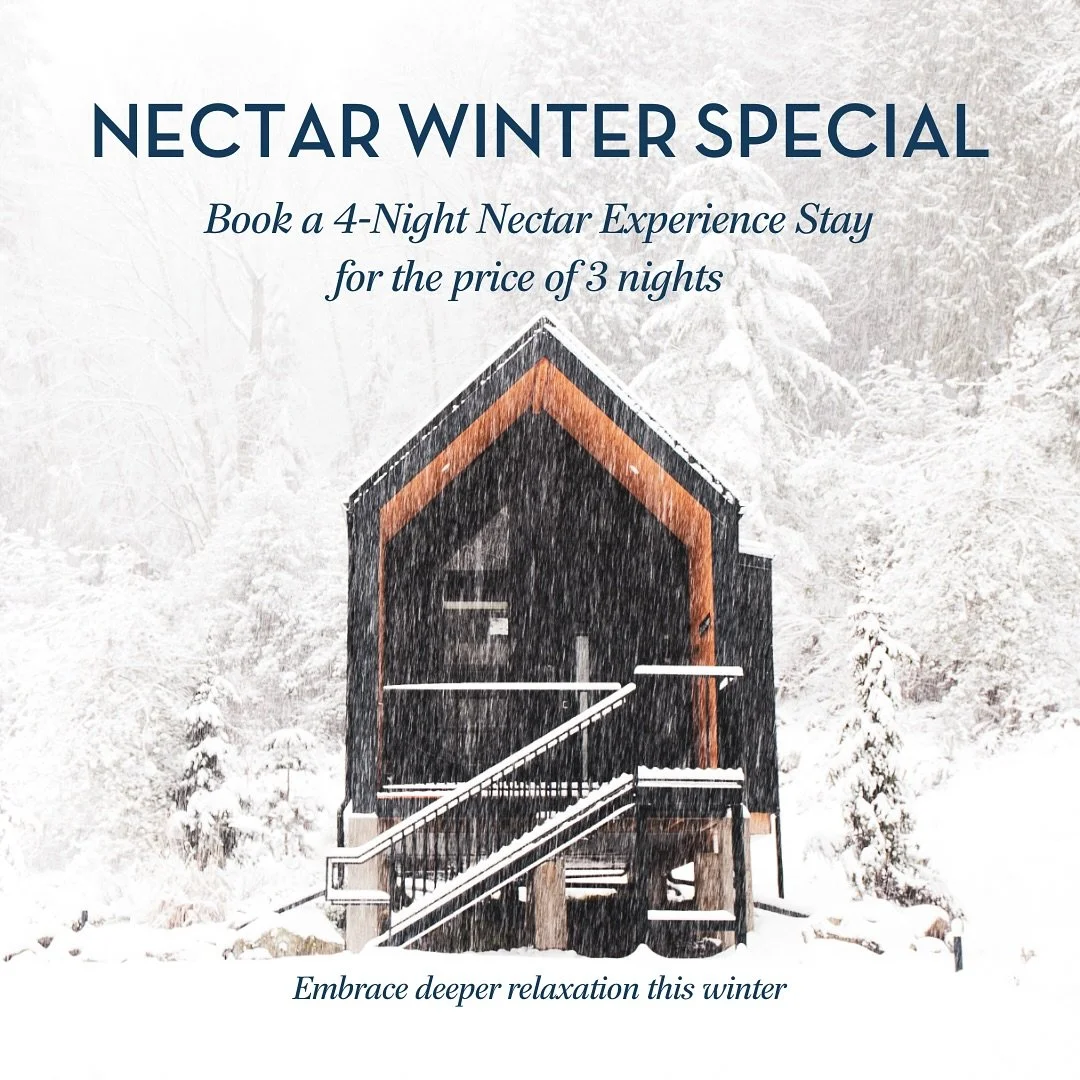 By popular request, our 4-night winter Nectar Experience offer returns. Step away from the busy rhythm of the season and into the quiet forest. This December, let Nectar be your retreat away from the city. ✨

From October 11&ndash;25, book a 4-night 