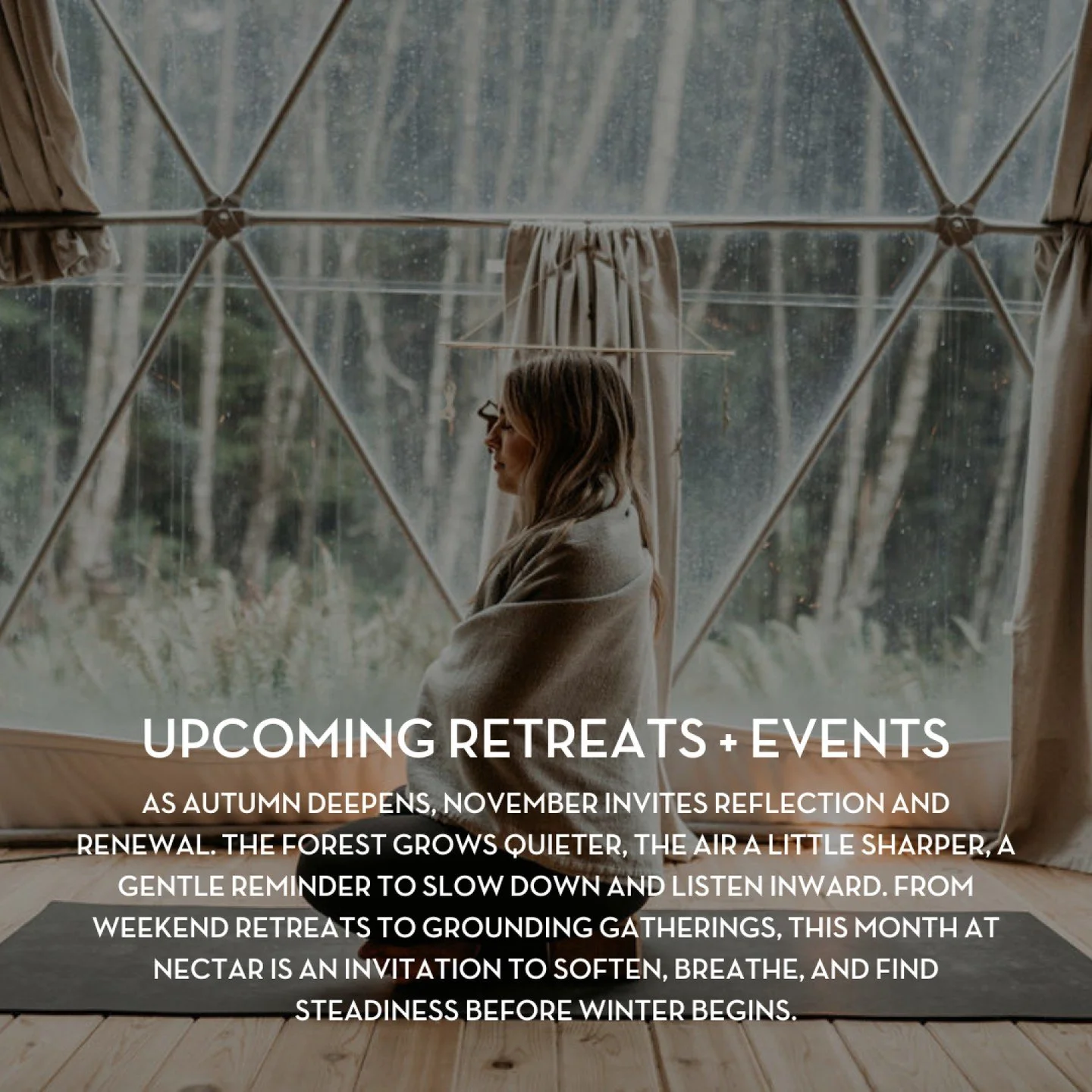 November on Bowen is quiet, grounding, and deeply restorative, the perfect time to return to yourself. 🌲

Discover upcoming retreats and events designed to support your body, mind, and spirit through the season ahead.

Find your next experience thro