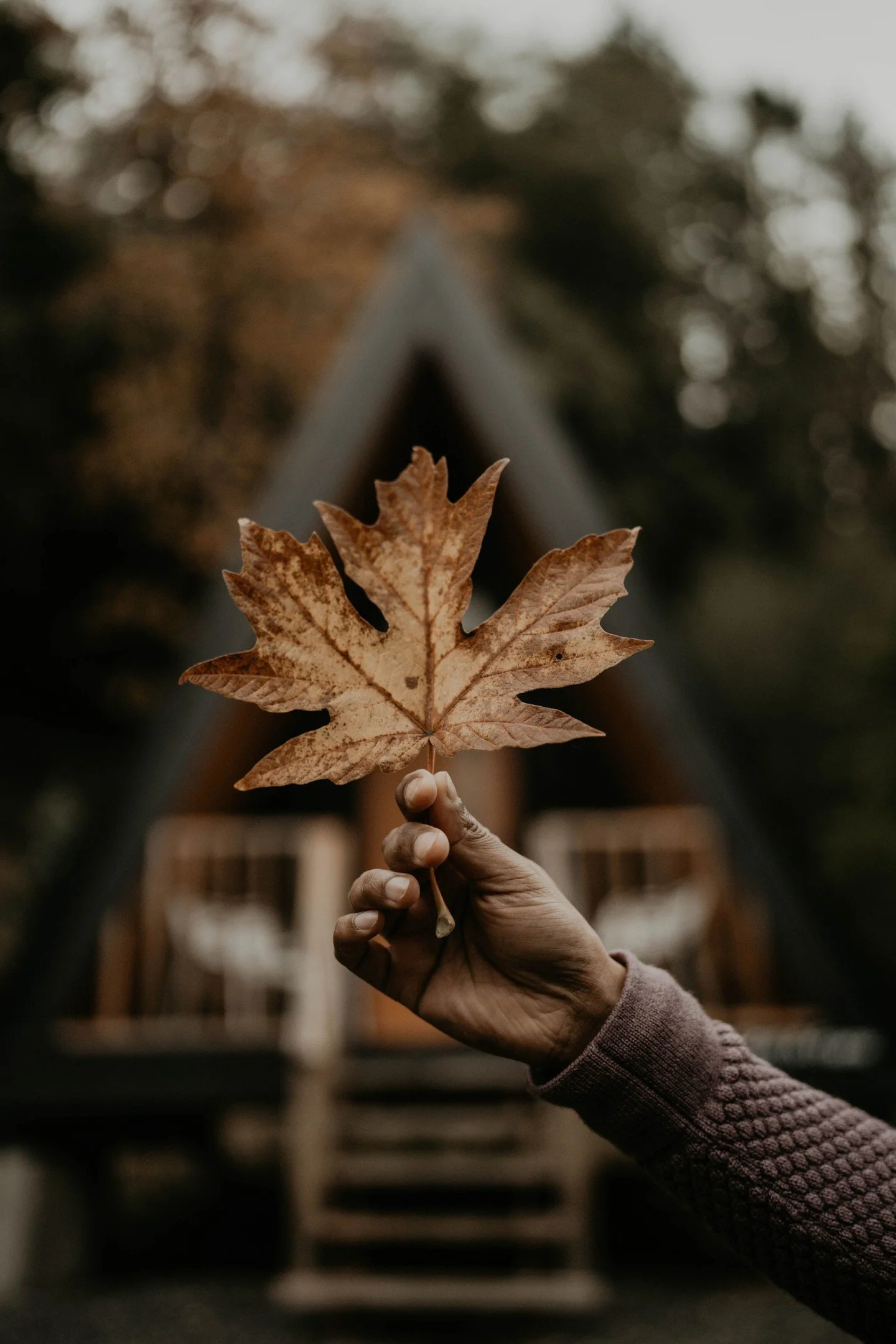 What feels most difficult isn&rsquo;t always change itself, but the unpredictability of it. Yoga, breathwork, and mindful practice remind us that steadiness isn&rsquo;t about control; it&rsquo;s about presence.

This month, we&rsquo;re exploring how 