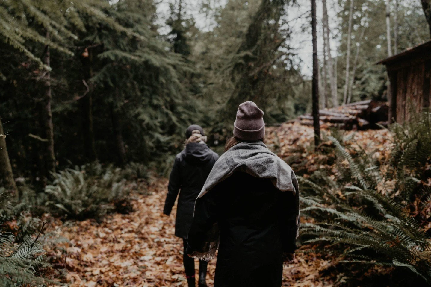 In December, the forests on Bowen go quiet and at Nectar, we explore resilience as both a capacity and a practice. It begins in the body&mdash;through breath, interoception, and the ability to return to steady ground after stress. With yoga, breathwo