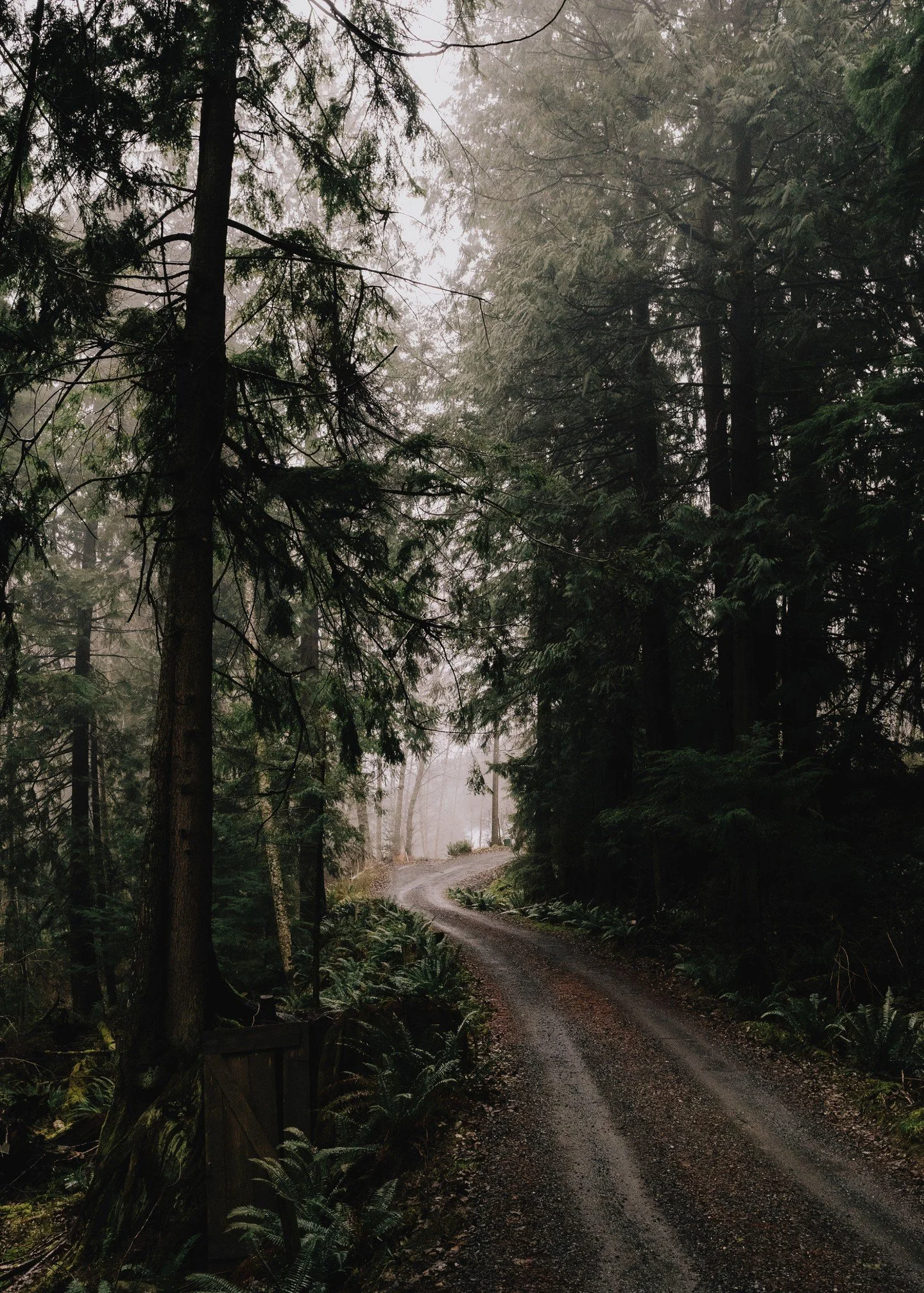 Resilience isn&rsquo;t about resisting change or avoiding challenge; it&rsquo;s about how we return to steadiness when life moves around us. It&rsquo;s the body&rsquo;s quiet capacity to adapt, to absorb stress, and to recover with grace.

In the bod