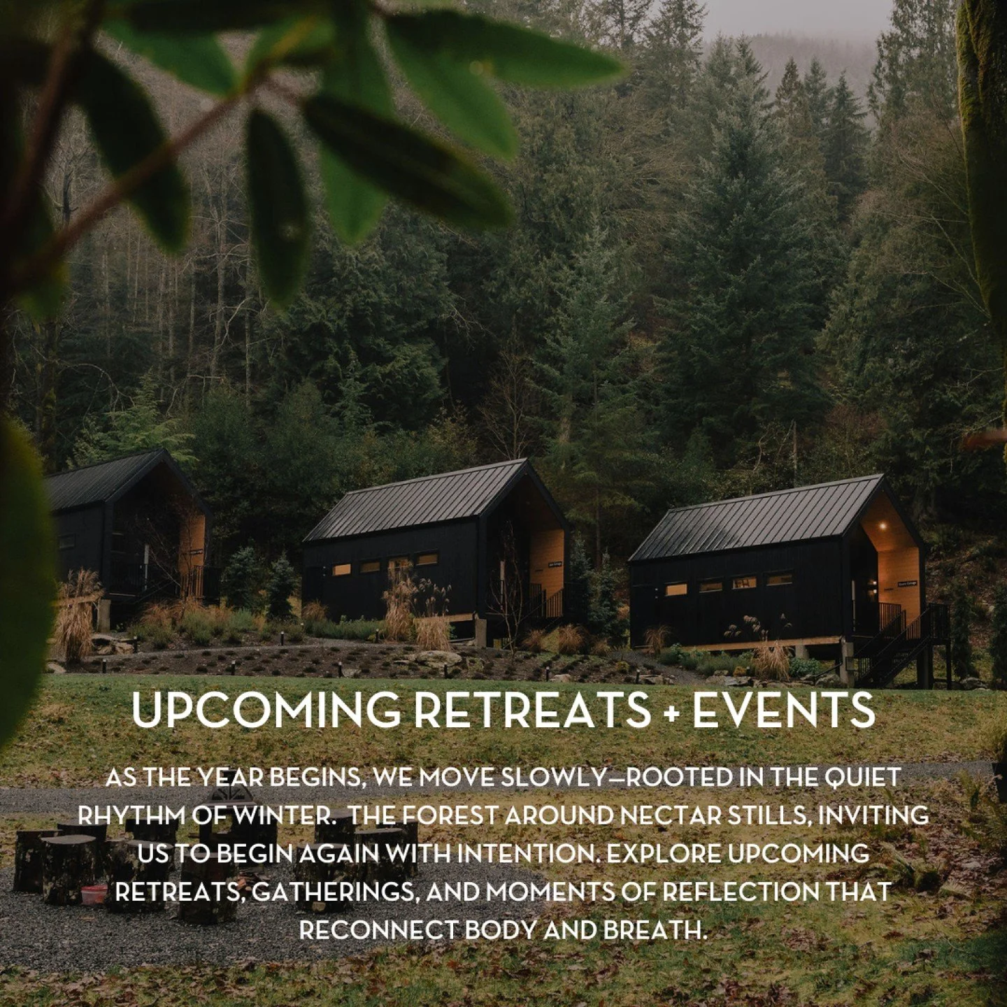 The first months of the year move from Earth to Air, a time for grounding before expansion, for listening before moving.
January and February at Nectar are an invitation to honour this balance through retreats, gatherings, and quiet moments of renewa