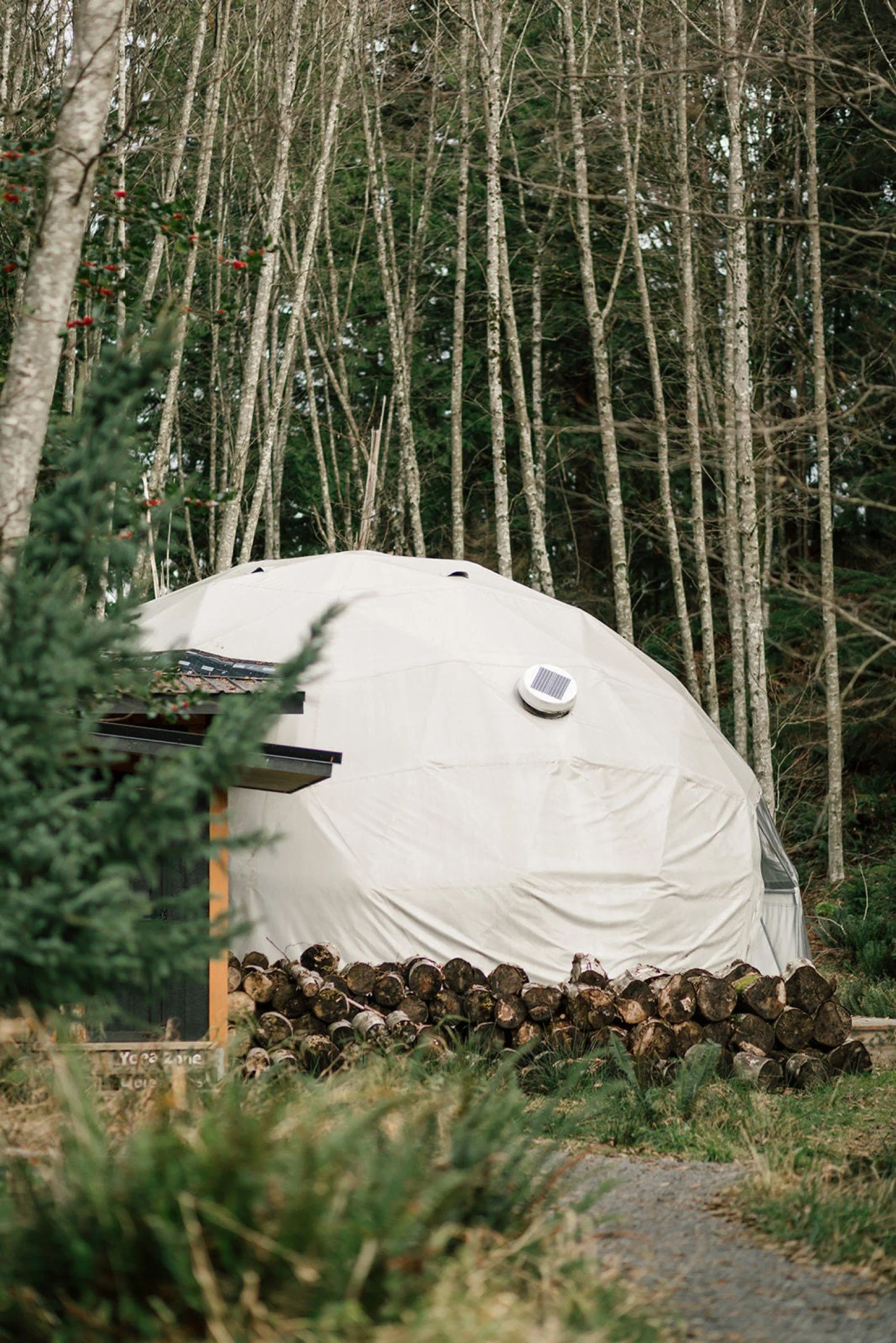 The New Moon arrives today in Capricorn, offering a quiet reset rooted in steadiness, discipline, and devotion. New Moons are thresholds, places where we turn inward, listen closely, and plant intentions beneath the surface. 🌲

Capricorn reminds us 