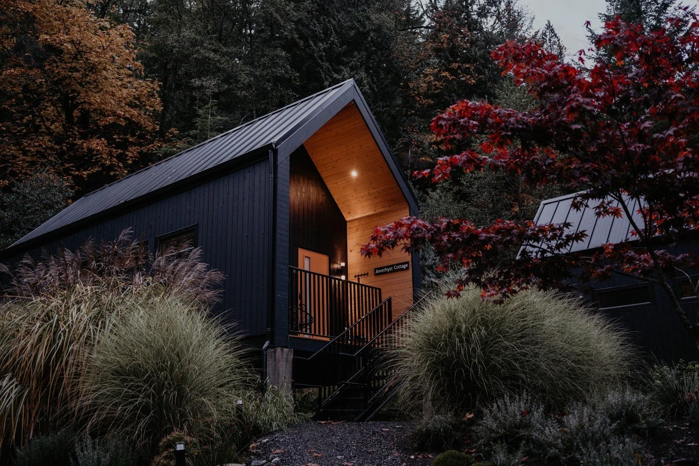 January invited us to move slowly, listen inward, and feel the body as a bridge between stability and spaciousness. Through Capricorn&rsquo;s grounded steadiness and Aquarius&rsquo;s quiet expansion, we learned that structure and freedom aren&rsquo;t