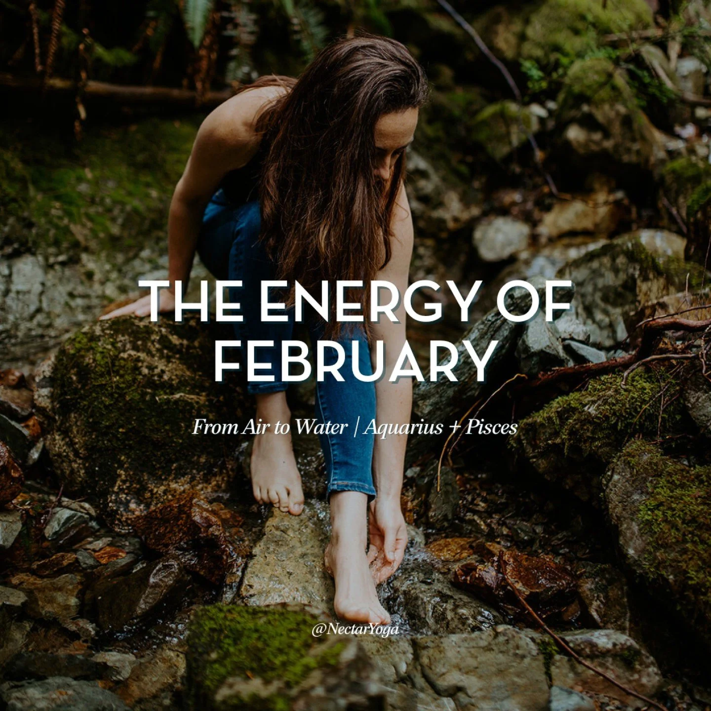February&rsquo;s theme, From Air to Water, explores how the body shifts from circulation and stimulation into absorption and integration as we move from Aquarius into Pisces.

Learn more about this transition in our February blog, and explore Nectar 