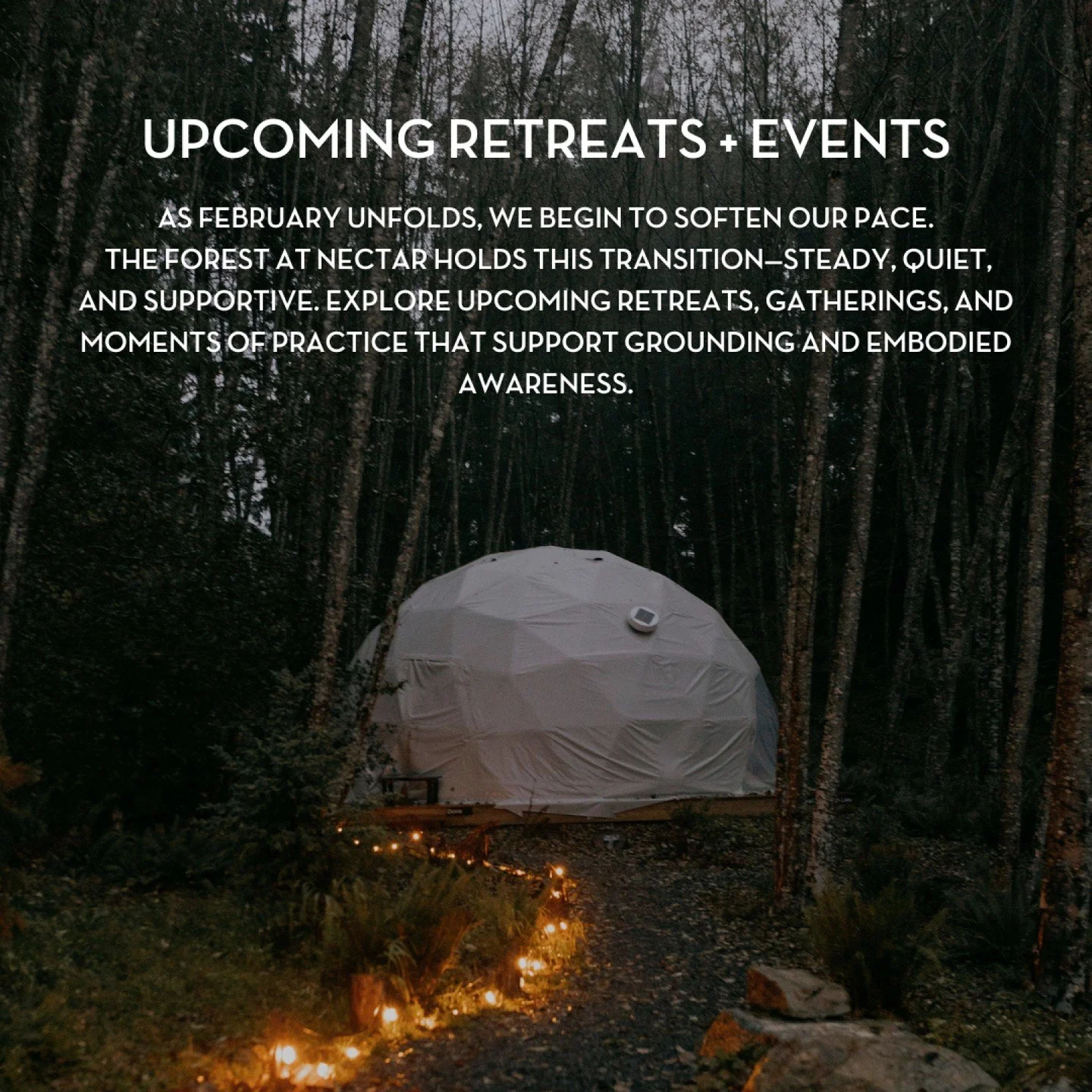 Whether you&rsquo;re seeking an overnight retreat, a quick day retreat, or evening classes and events to stay grounded, Nectar has everything you need to reconnect and reset this February. Only a short 20-minute ferry ride away from Vancouver, find y