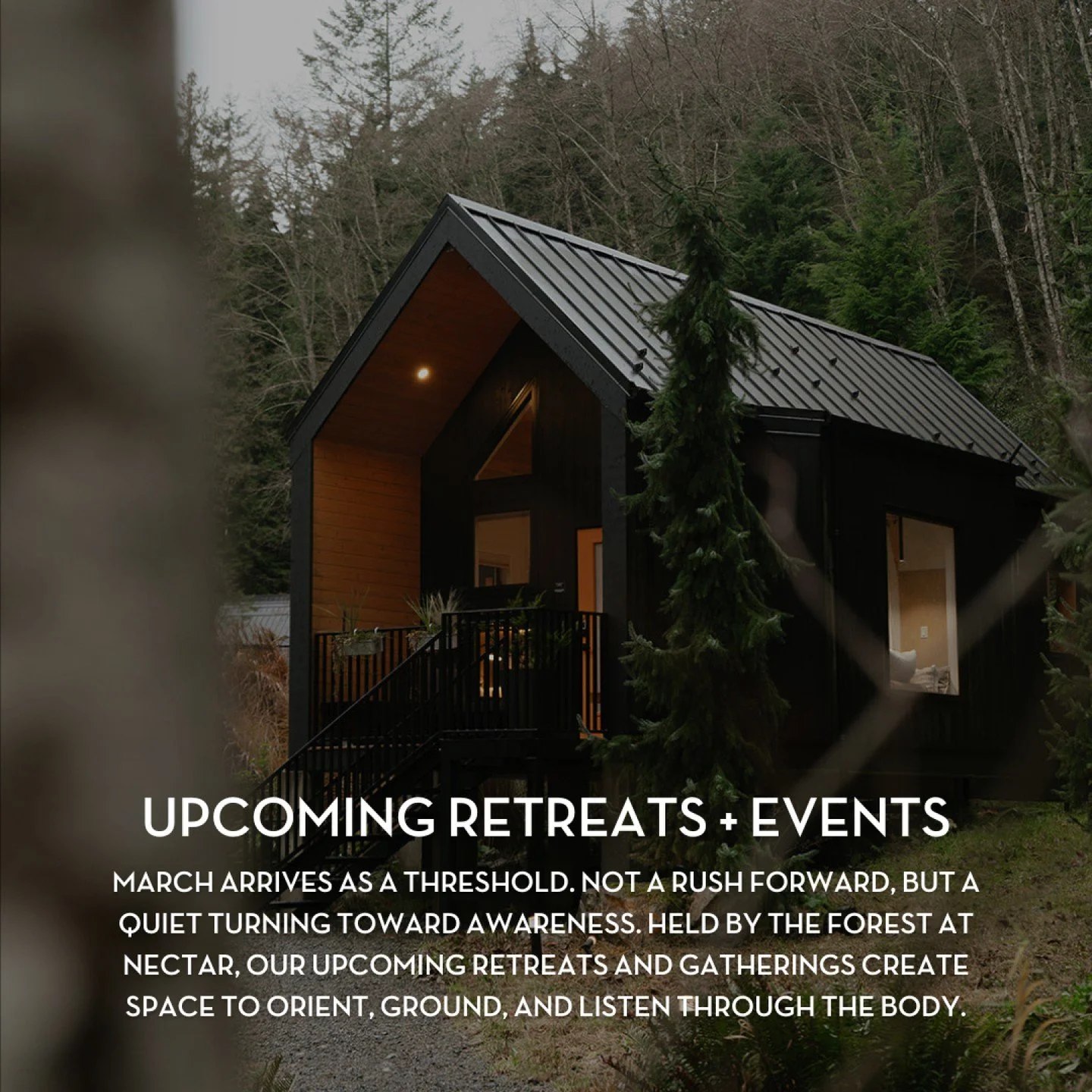 March invites us to listen through the body, to feel where we are before deciding where to go. Our upcoming retreats and gatherings support grounding, presence, and embodied awareness as the season begins to shift. 

Swipe to explore and learn more t