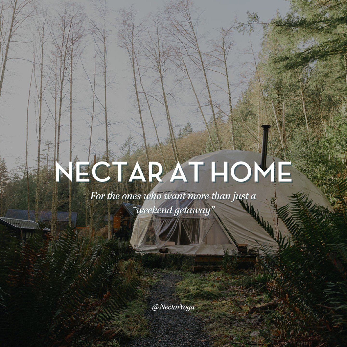 When you leave Nectar, what do you wish you could hold onto most? The quiet, the clarity, the way your body feels when it&rsquo;s not rushing?

We believe lasting change isn&rsquo;t created through intensity, but through rhythm. Nectar At Home was cr