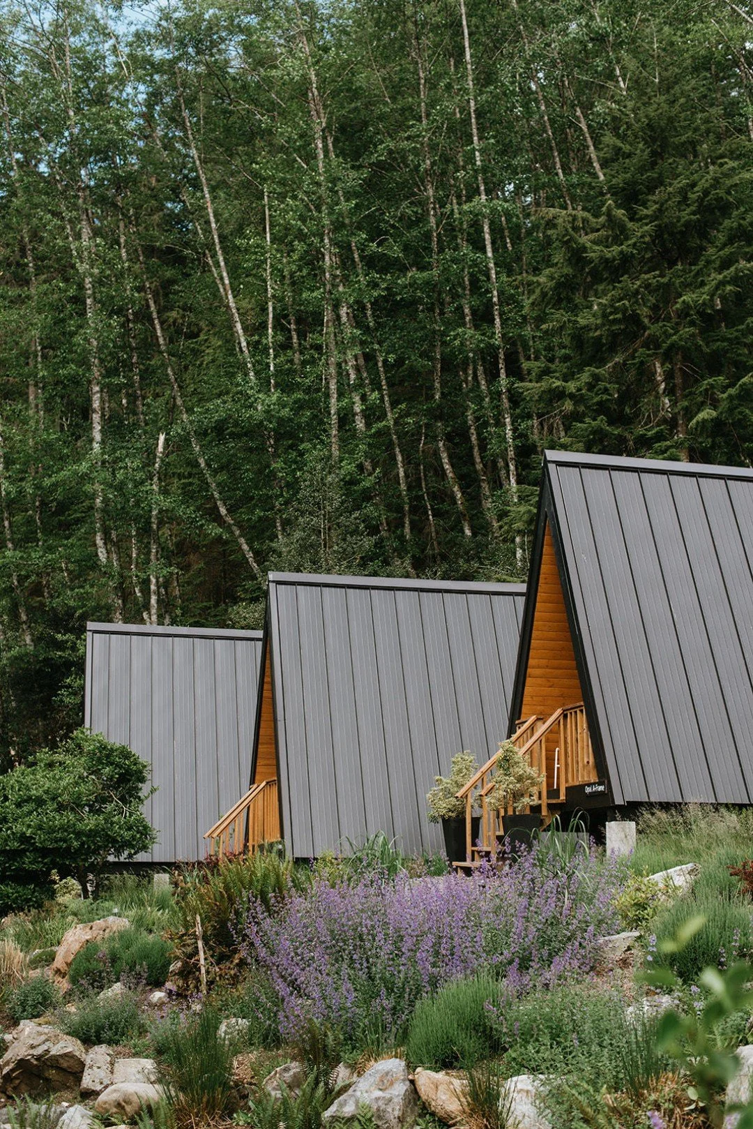 Step away from the noise and return to a slower rhythm. Find yourself here. We have some rare openings for our 2-night Nectar Experience!🌲

Each stay includes daily morning yoga and meditation, nourishing vegetarian breakfast, and uninterrupted time