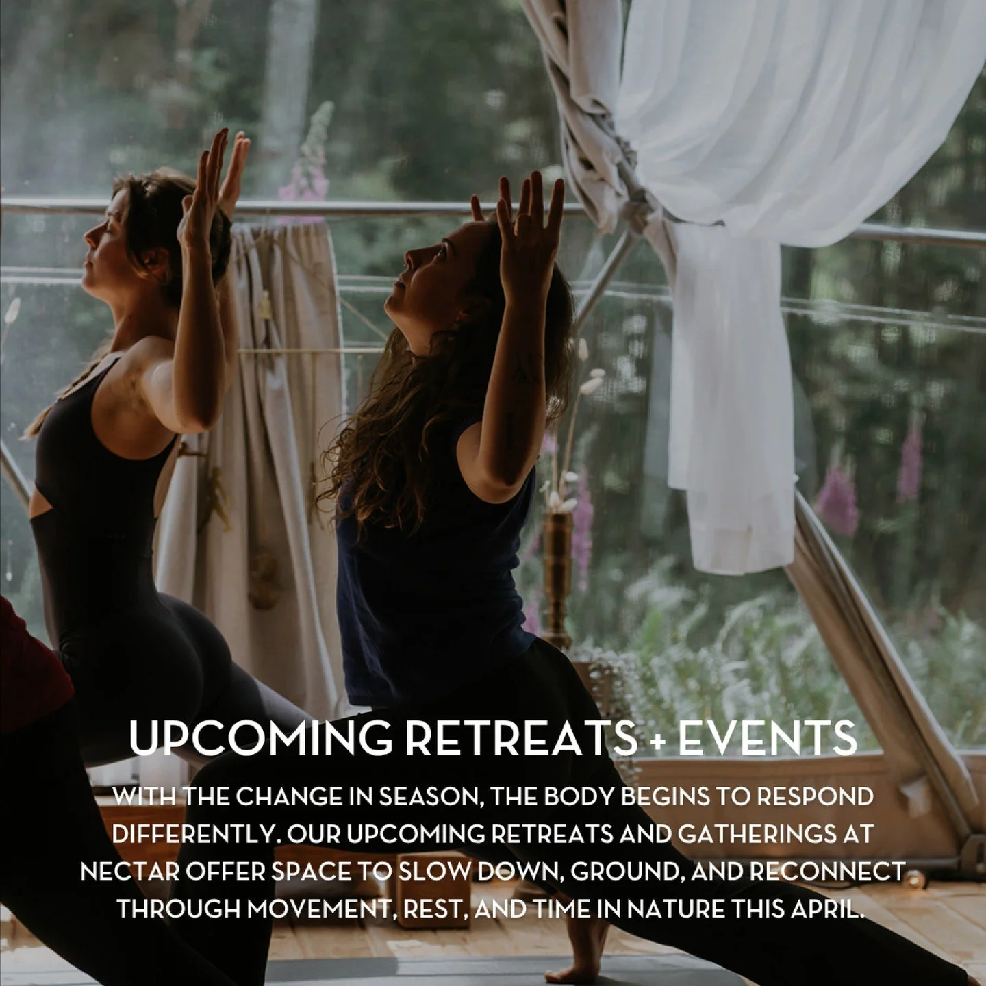 A look at what&rsquo;s unfolding at Nectar this month. Retreats, gatherings, and space to reconnect, held by the forest. 

For those staying with us, there&rsquo;s also the opportunity to extend your experience with a private thermal circuit at @Mist