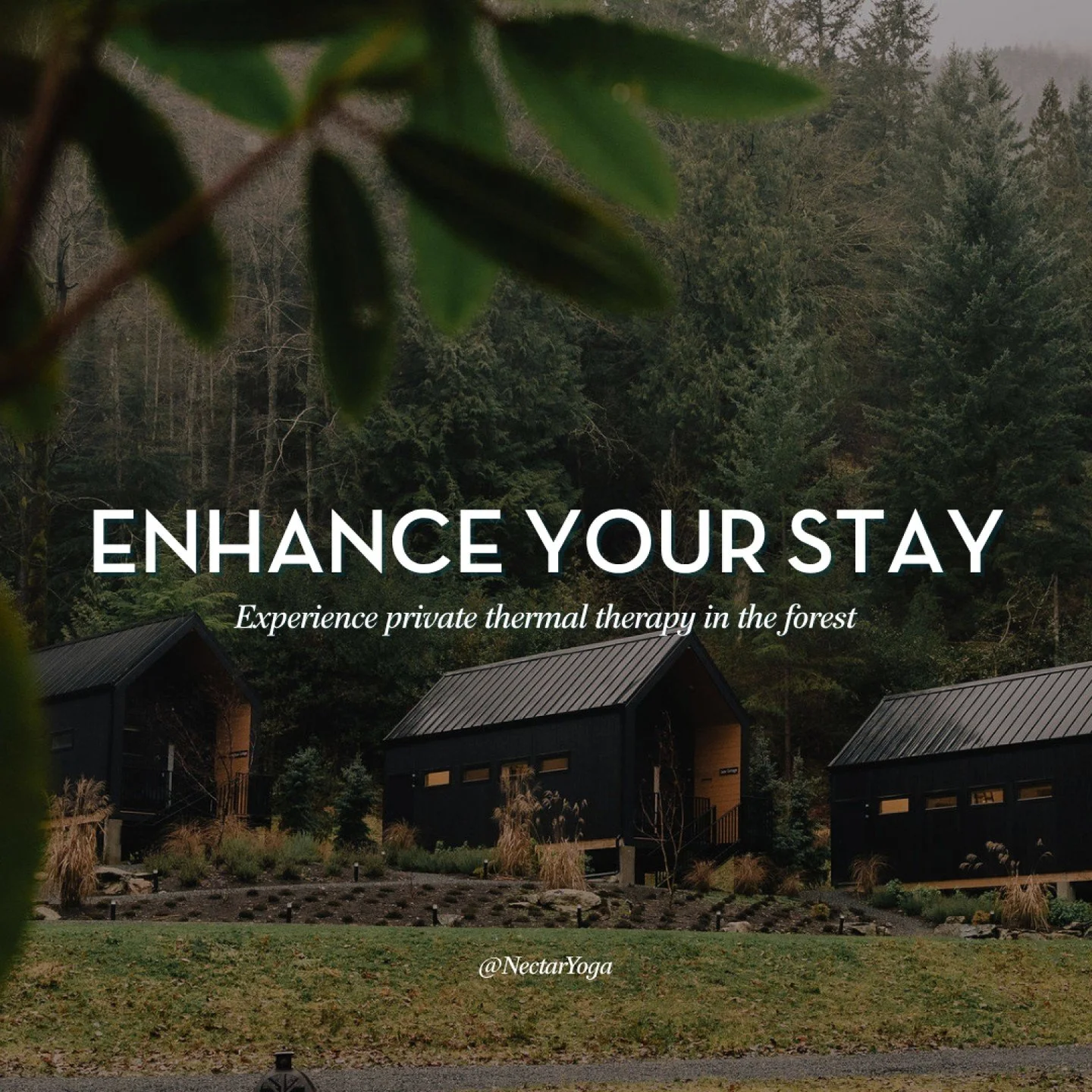 During your stay at Nectar, there&rsquo;s an opportunity to step into a different rhythm. 

A short walk through the forest leads you to @MistThermal, a private thermal experience where heat, cold, and stillness guide the body back into balance. For 