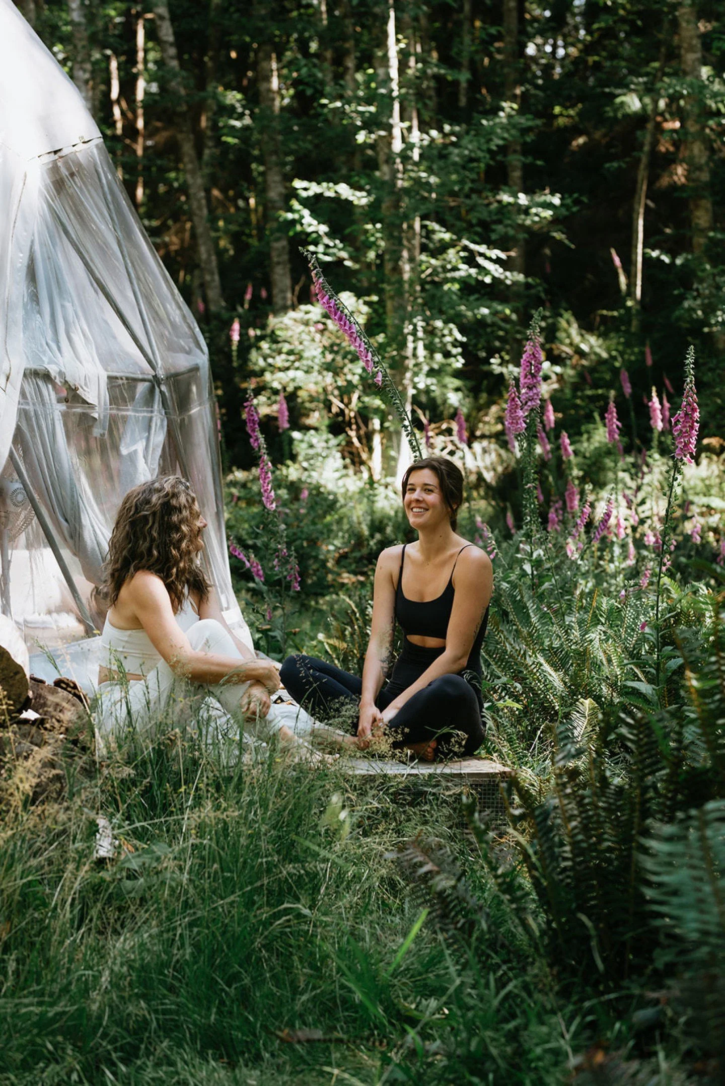 This summer, what if you gave yourself permission to reconnect with yourself? The Artist's Way is a 13-week guided journey hosted by Andrea Clark on the Nectar at Home platform, and it might be exactly what you have been looking for. 🌿

Following th