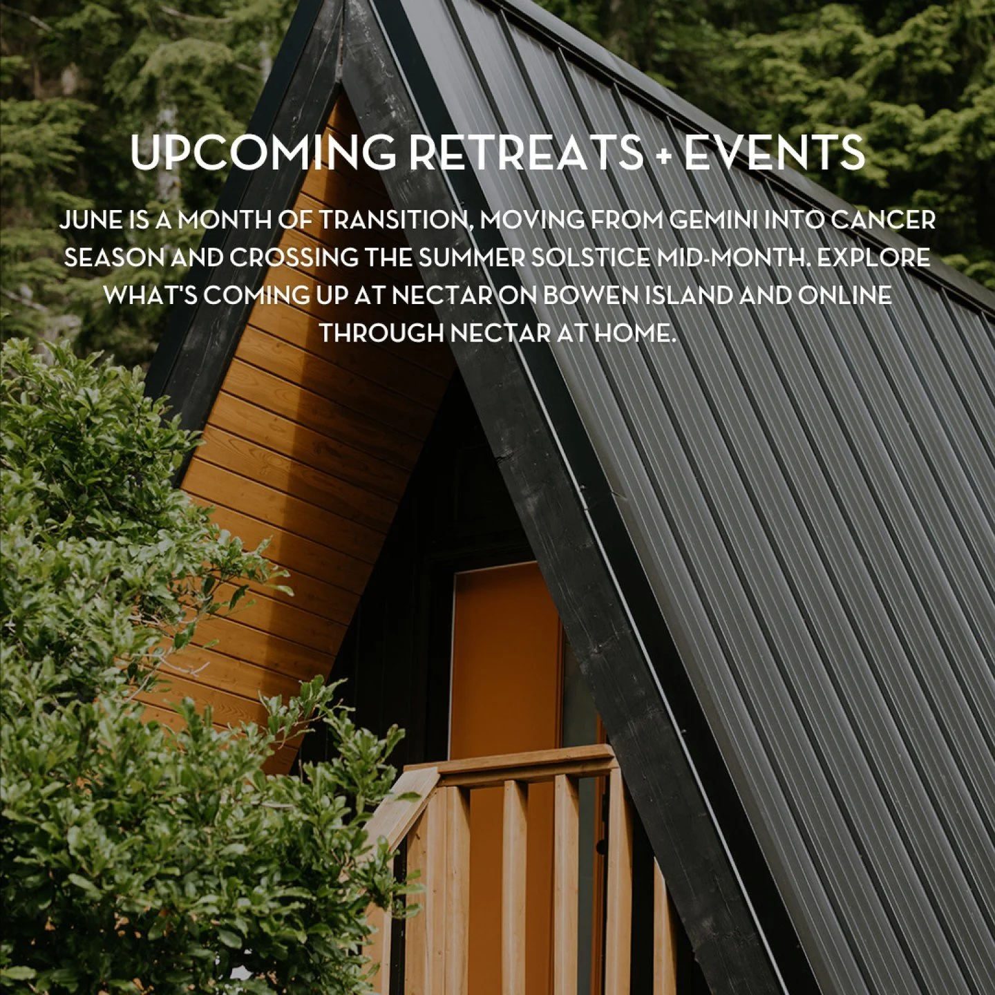 June is a month of transition, Gemini into Cancer, and the longest day of the year on the 21st. Swipe through to explore what's coming up at Nectar on Bowen Island and online through Nectar at Home. 🌿

Explore more upcoming events through the link i