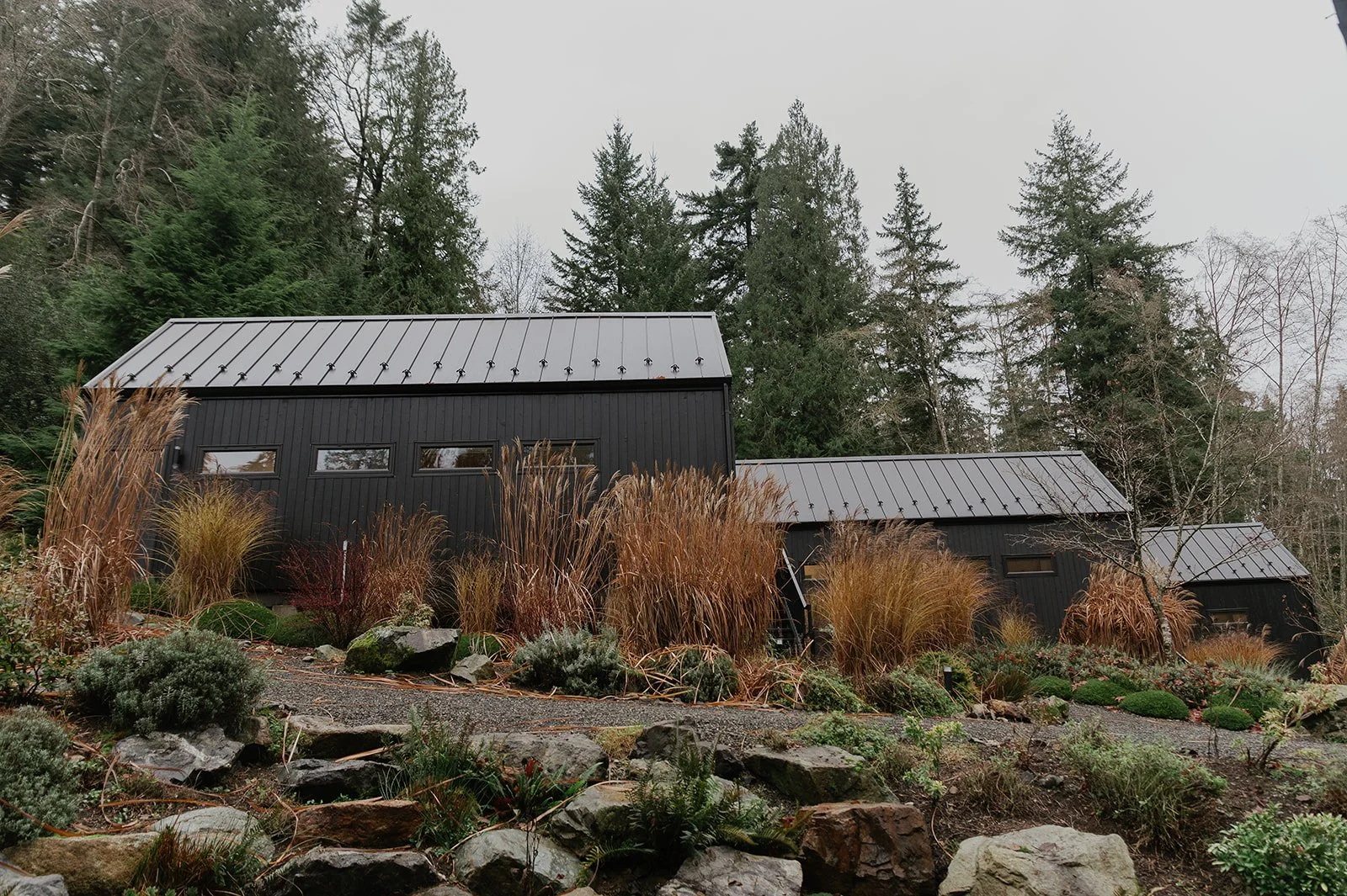 Gentle Reset: Mindfulness &amp; Meditation Retreat with Carolyn Budgell | Nectar Yoga