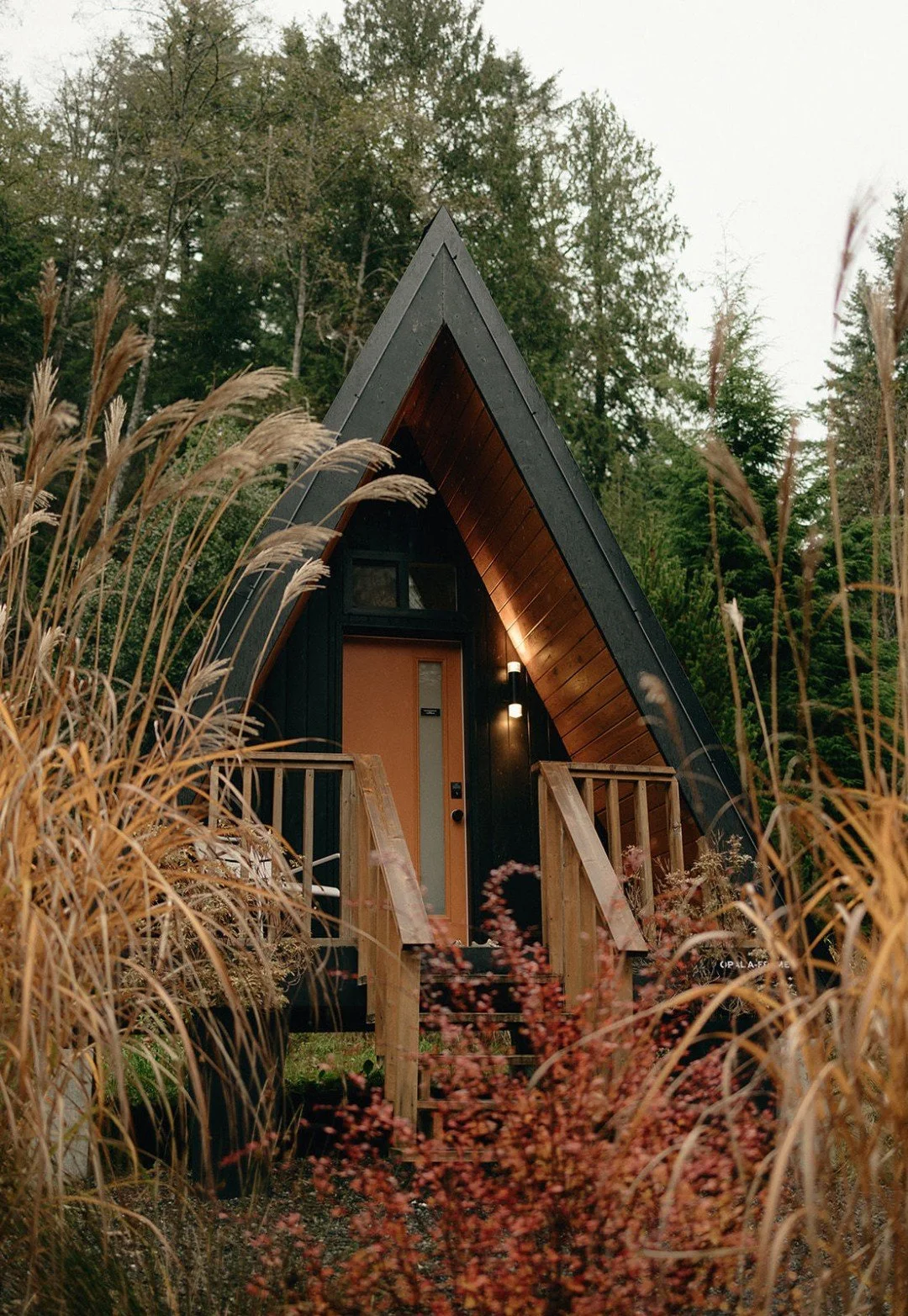 As the rain settles in this season and the skies stay soft and grey, we watch the moss come back to life across the land at Nectar. 

It thickens on the cedars, and the ferns lean in along the path to the dome, heavy with rain. Mornings here start wi