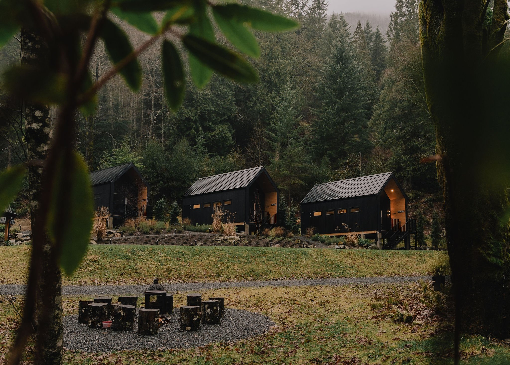 nectar yoga on bowen island