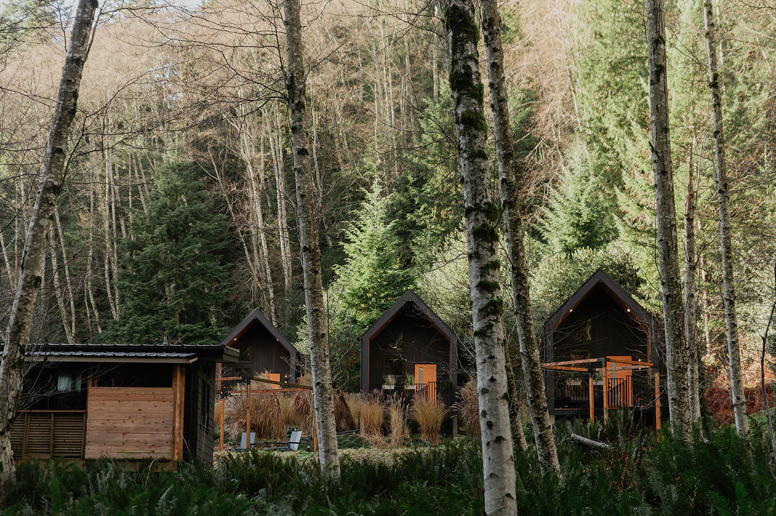 Yoga Retreats in BC