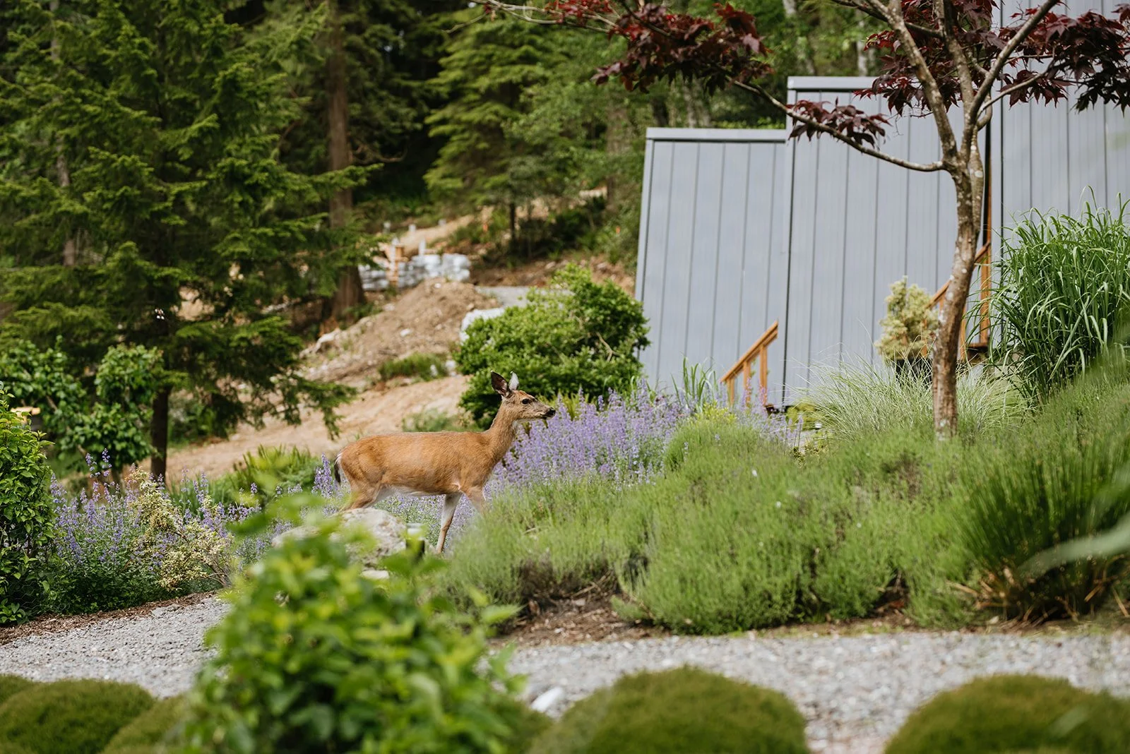 Rise Yoga and Wellness Retreat | Nectar Bowen Island